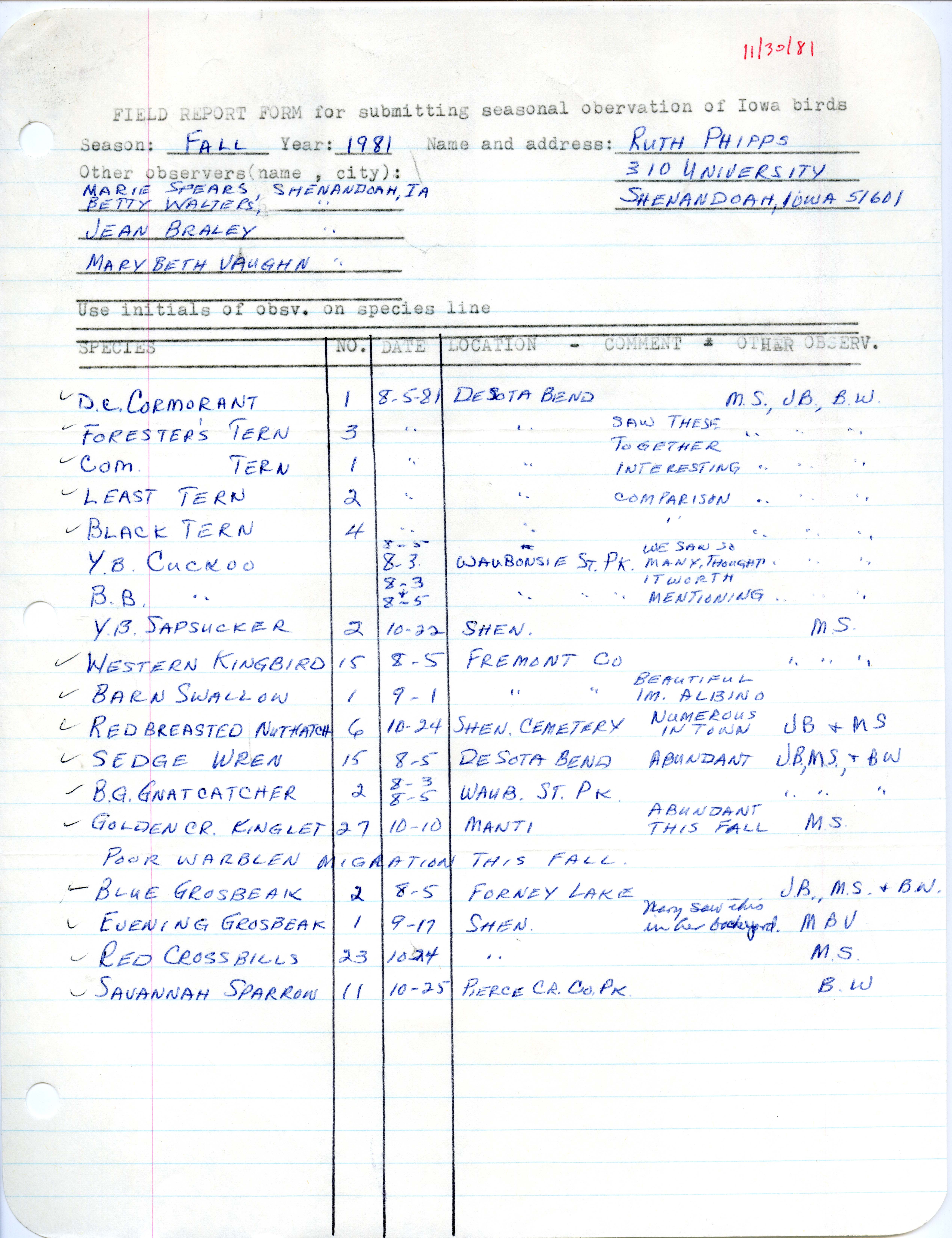 Field notes contributed by Ruth Phipps, November 30, 1981