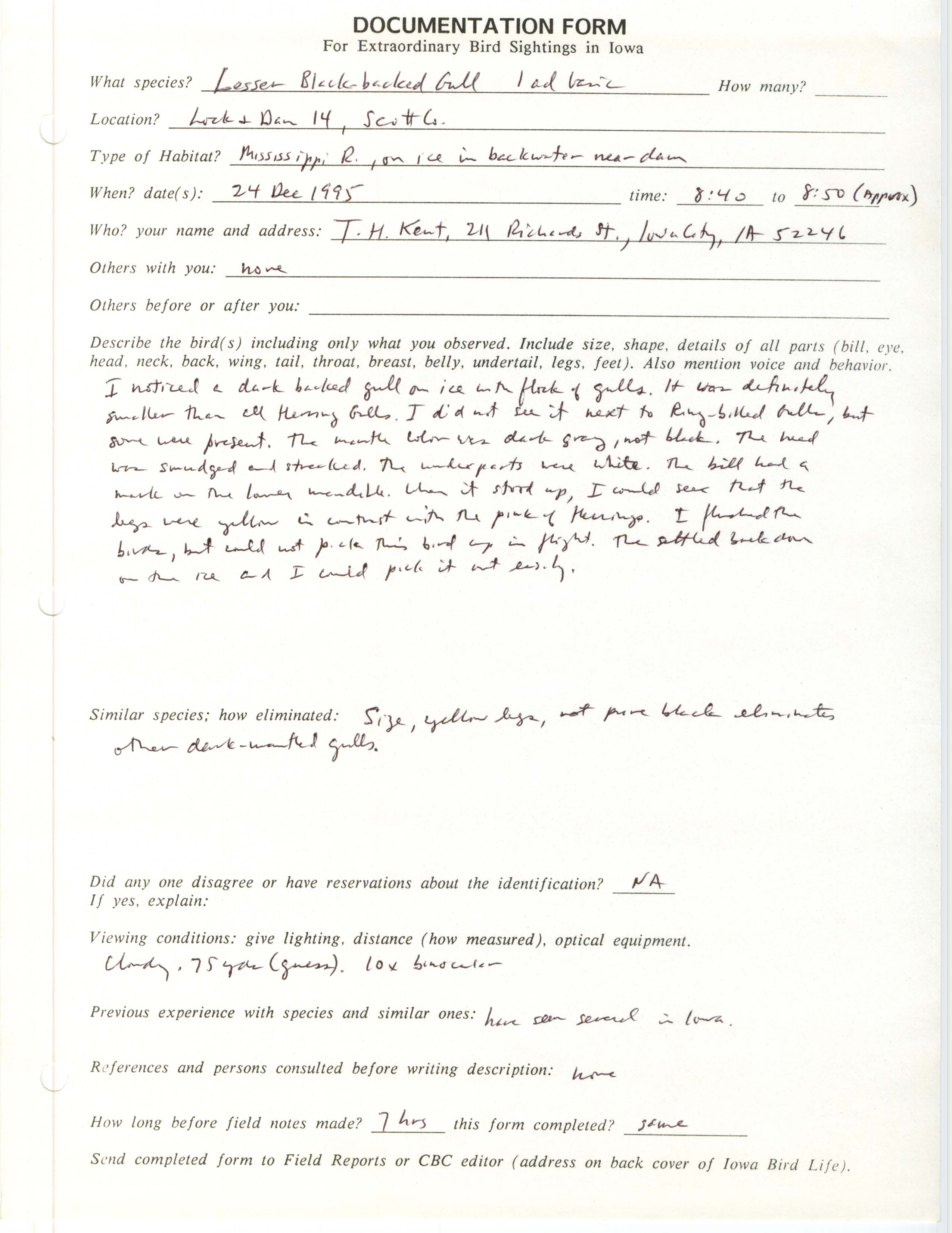 Rare bird documentation form for Lesser Black-backed Gull at Lock and Dam 14, 1995
