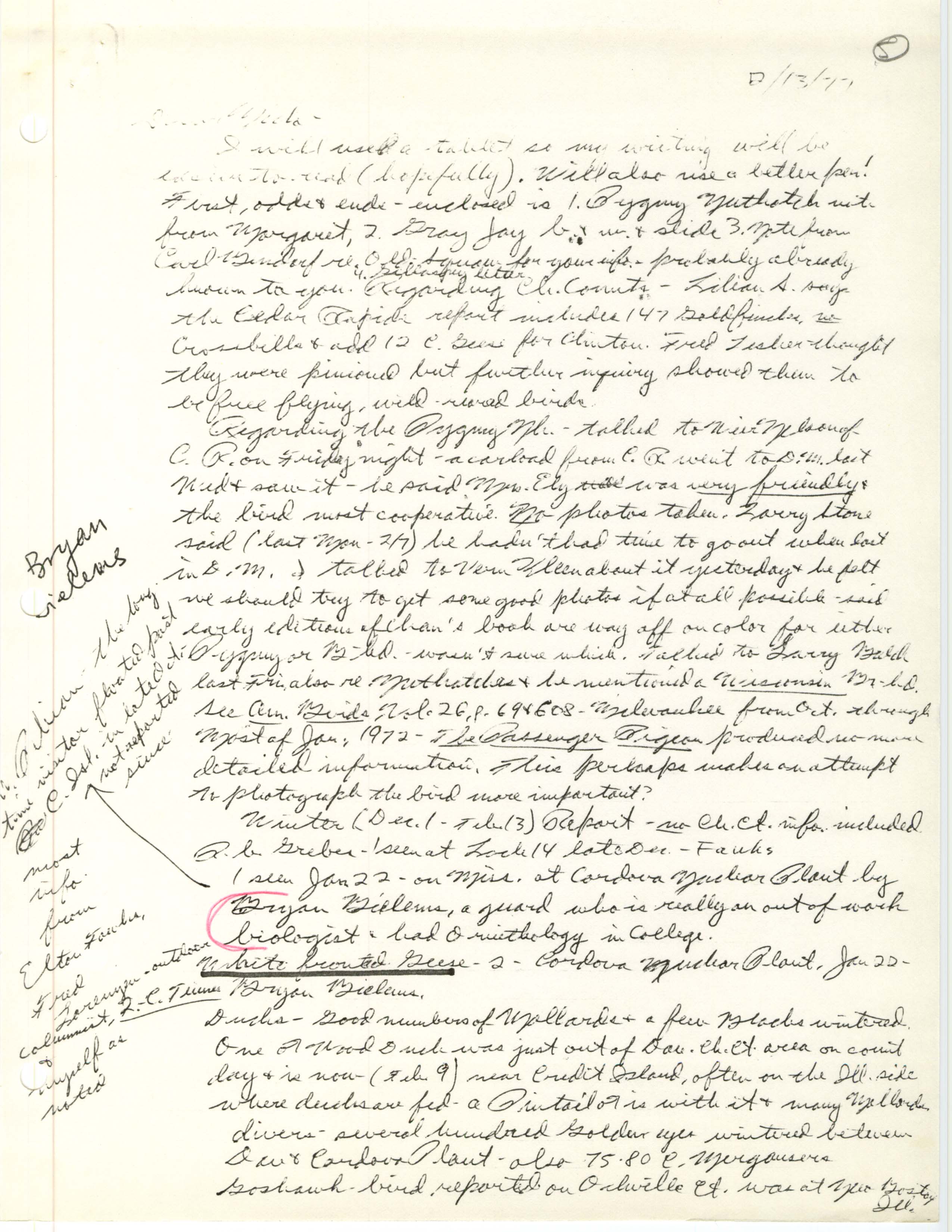 Peter C. Peterson letter to Nicholas S. Halmi regarding bird sighitings, February 13, 1977