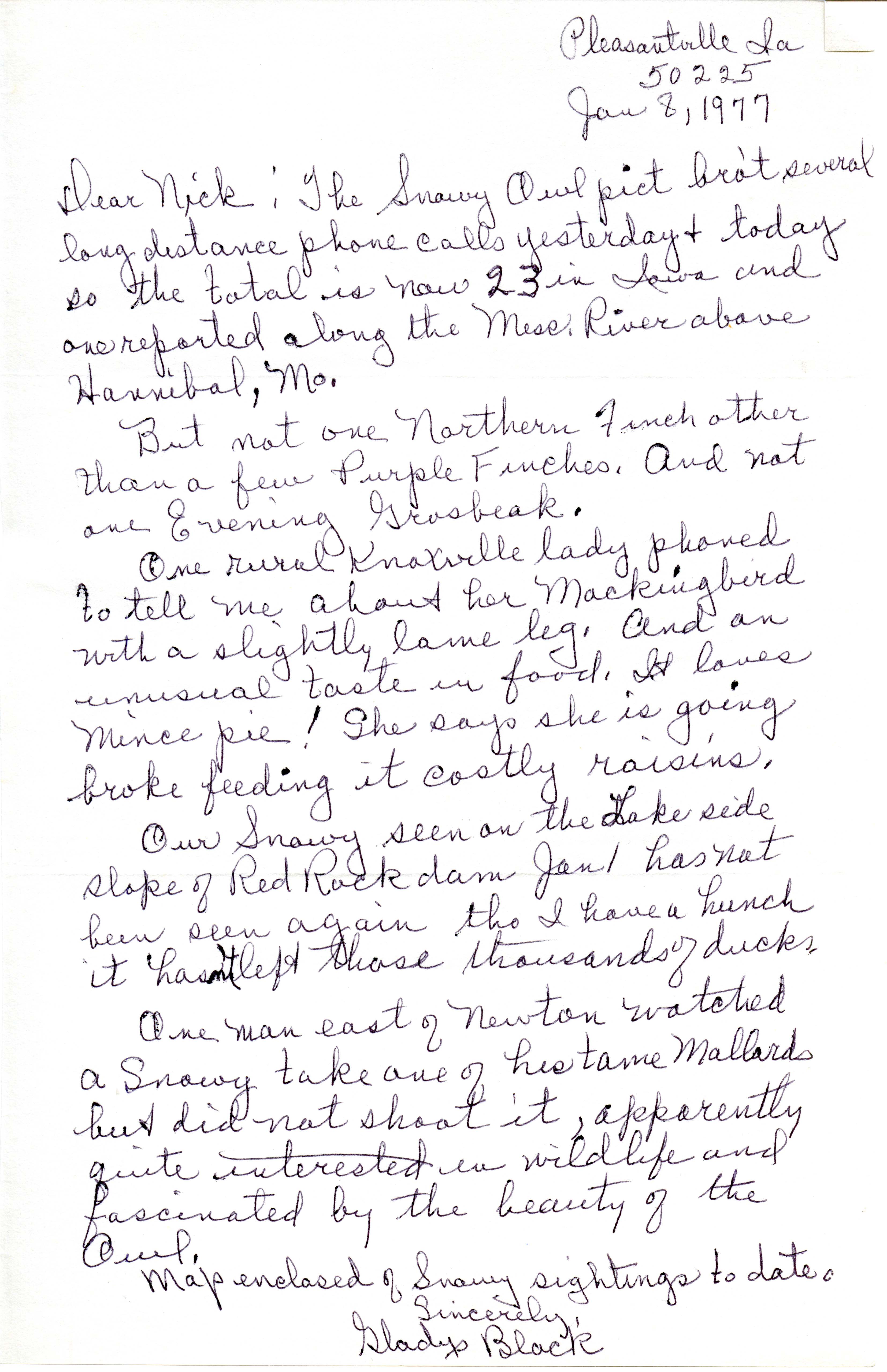 Gladys Black letter to Nicholas S. Halmi regarding bird sightings, January 8, 1977
