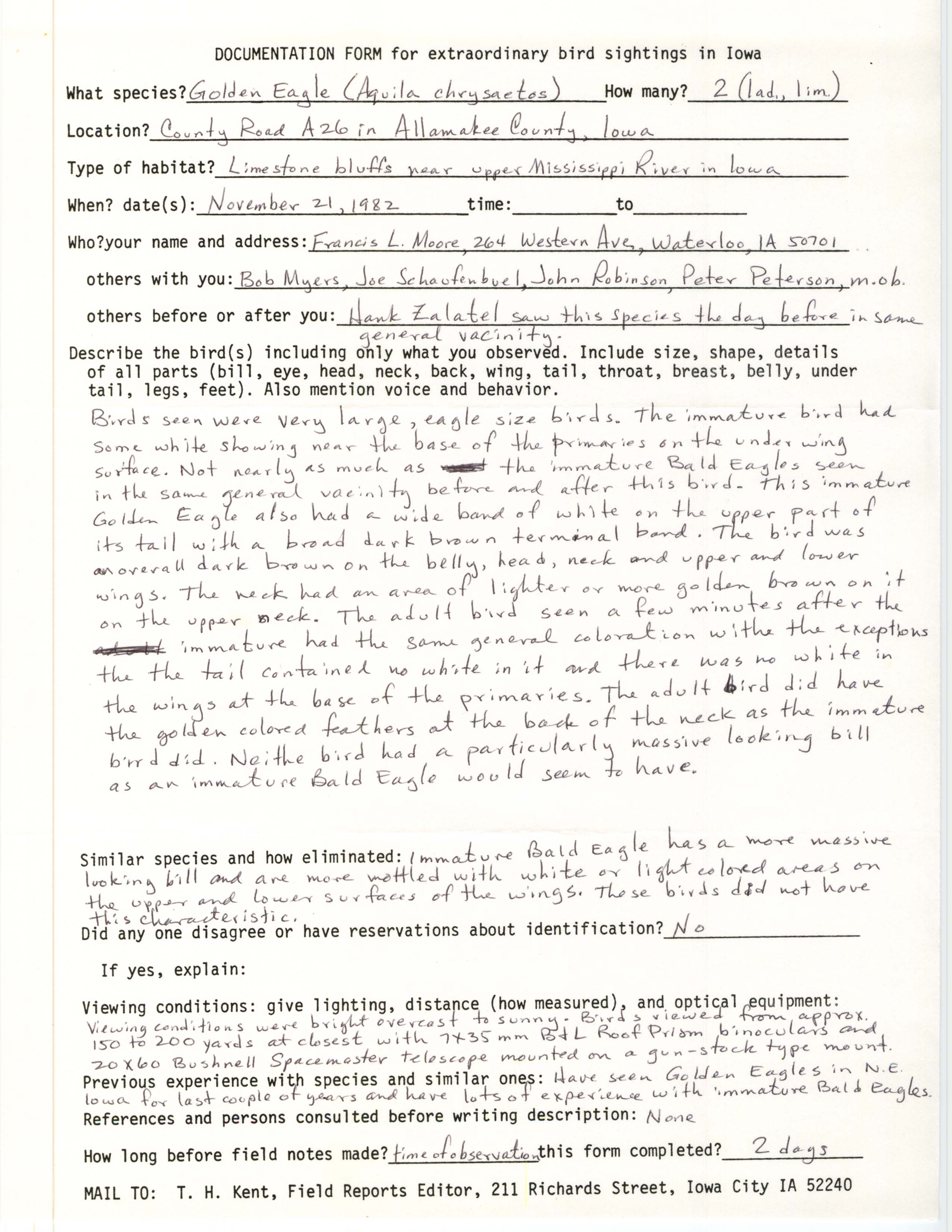 Rare bird documentation form for Golden Eagle at Allamakee County, 1982