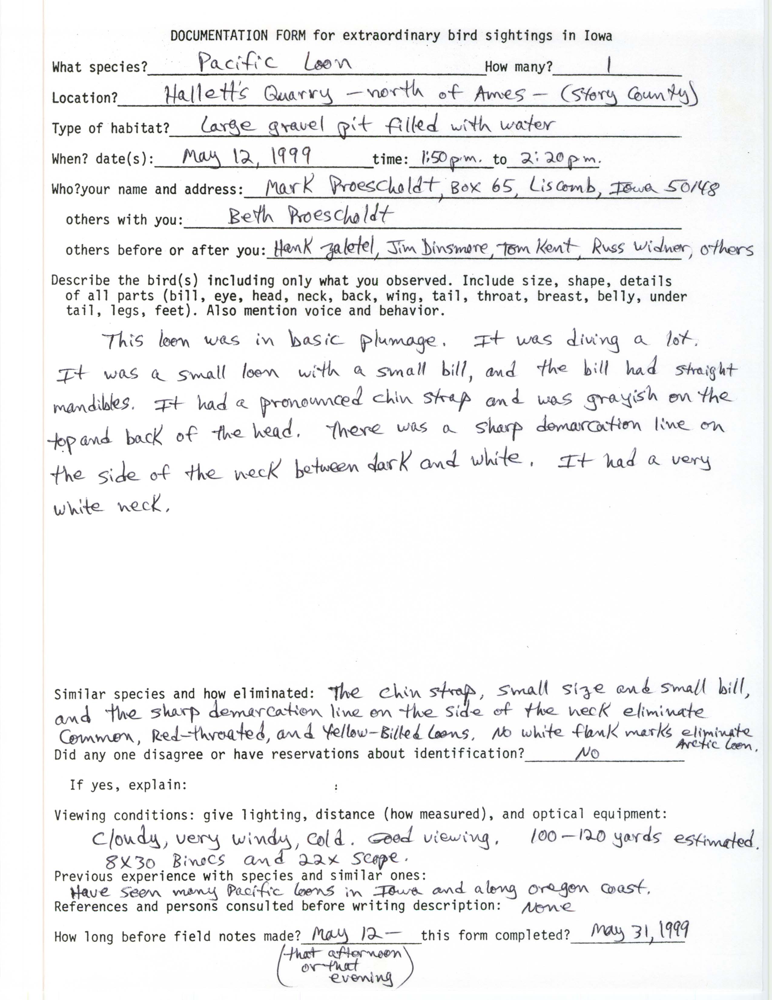 Rare bird documentation form for Pacific Loon at Hallett's Quarry at Ames, 1999