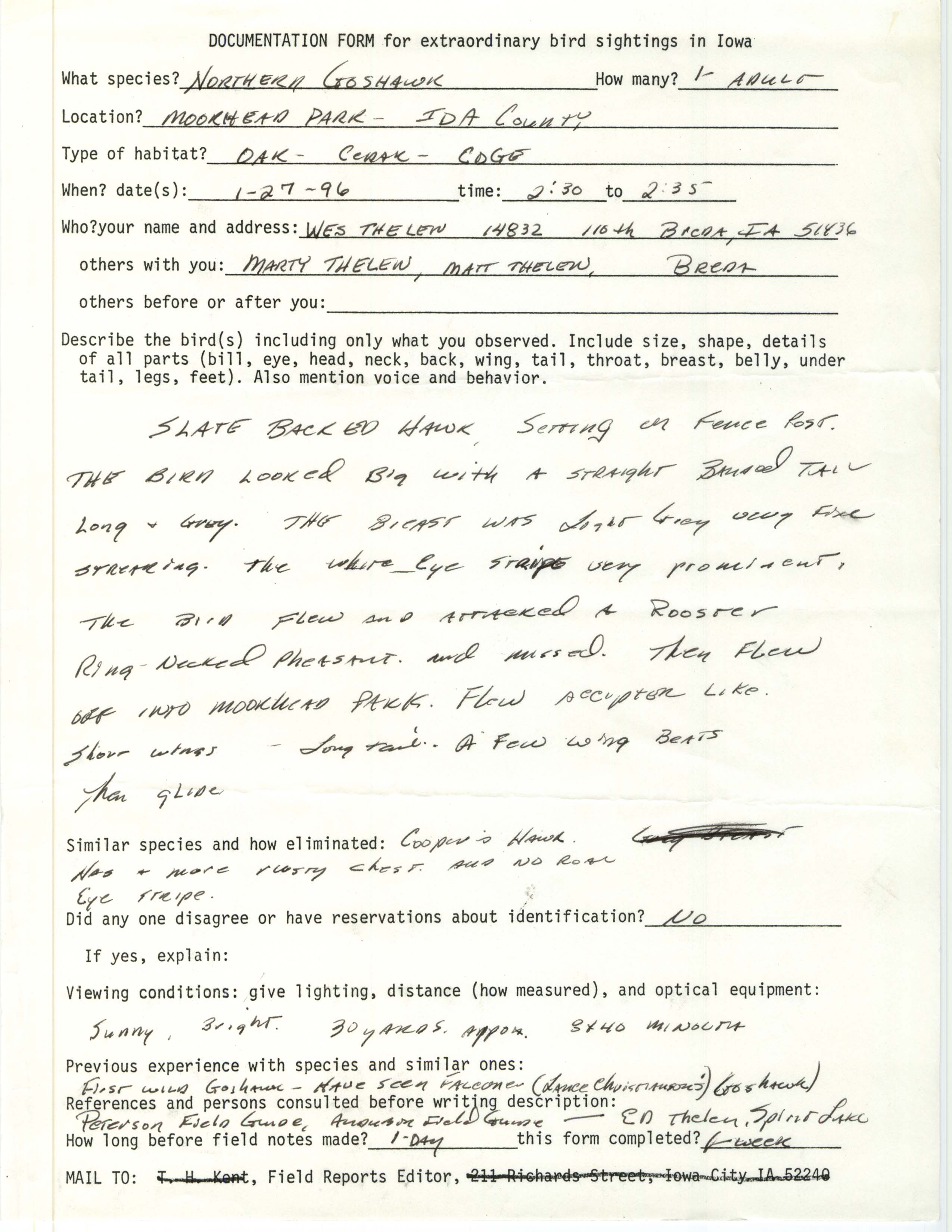 Rare bird documentation form for Northern Goshawk at Moorehead Park, 1996
