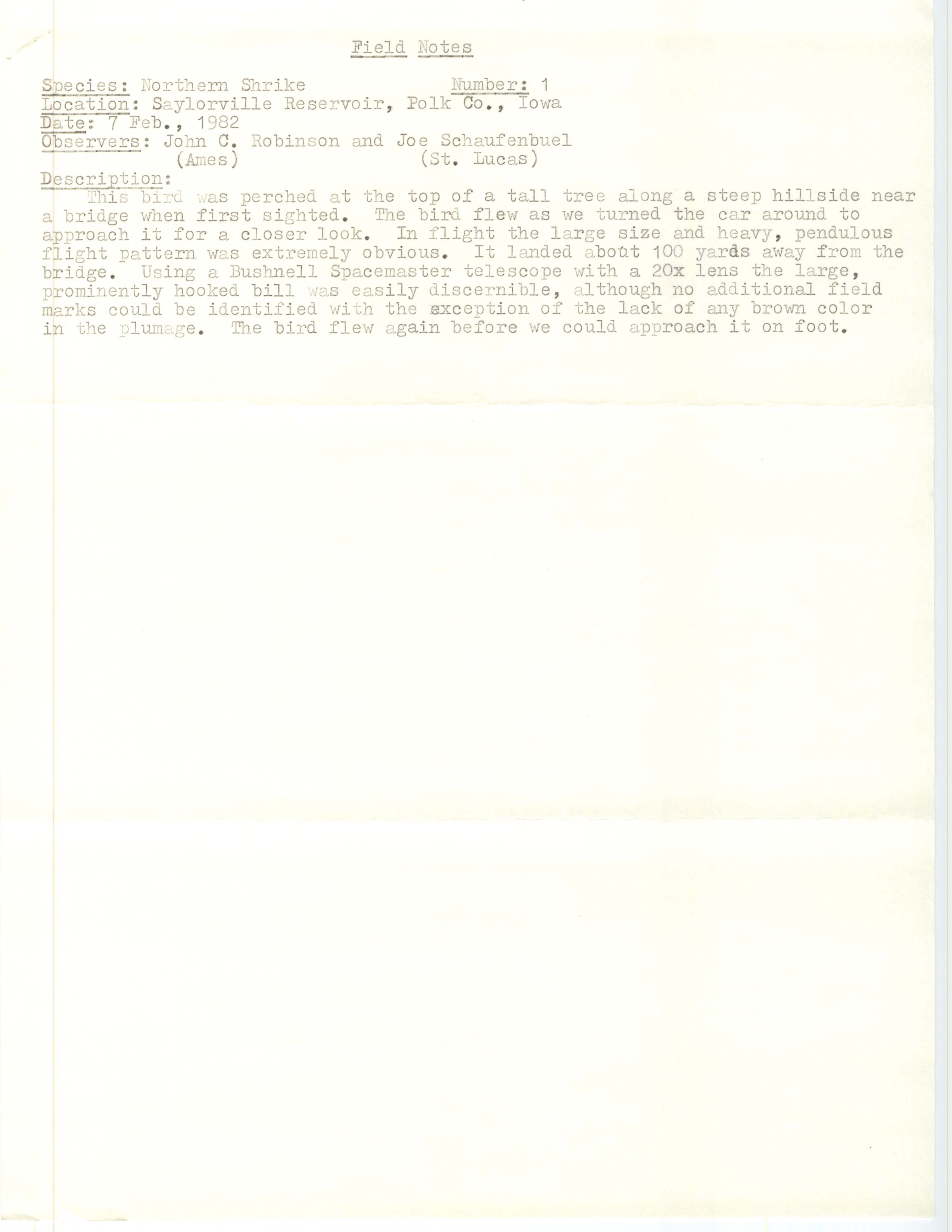 Rare bird documentation form for Northern Shrike at Saylorville Reservoir, 1982