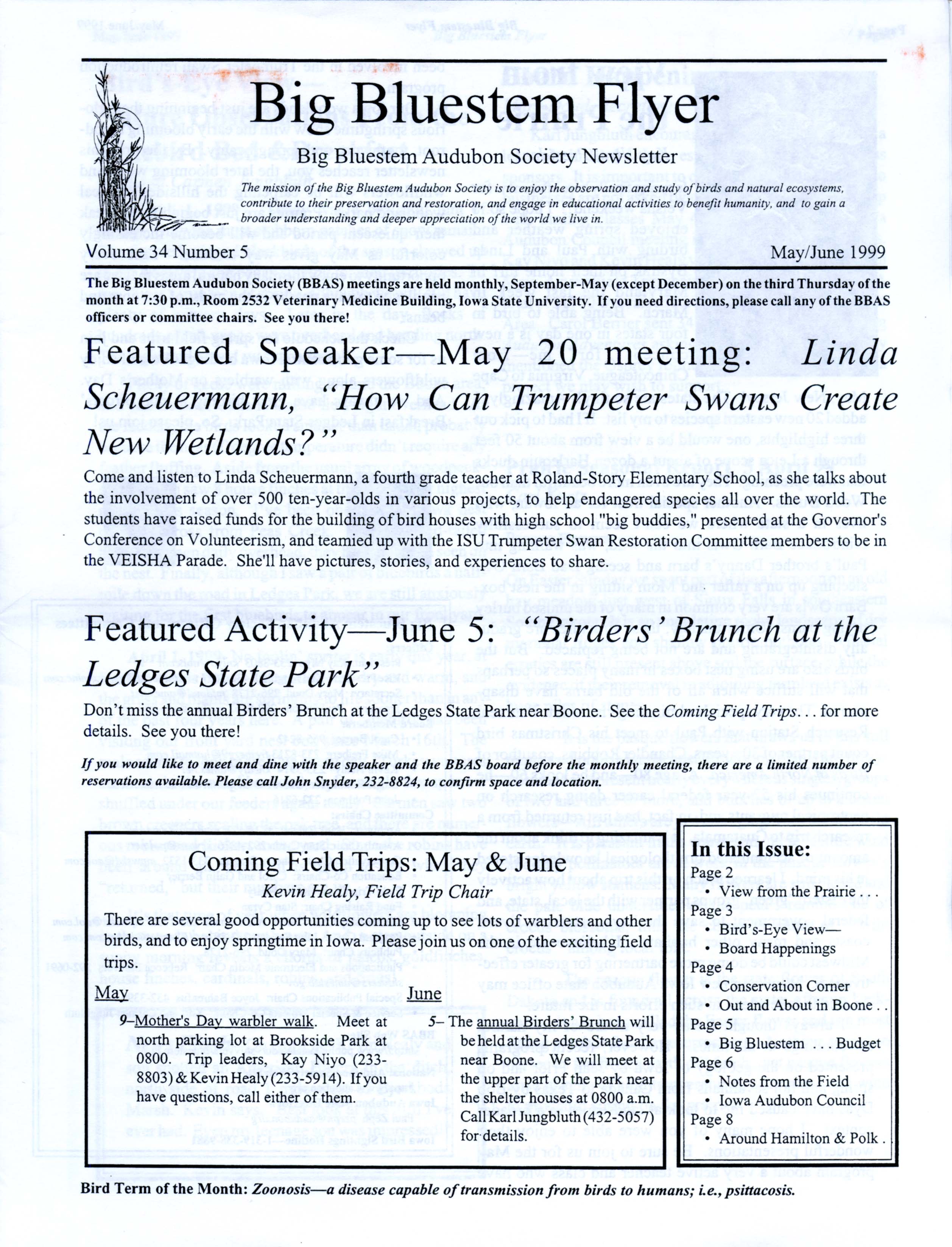 Big Bluestem Flyer, Volume 34, Number 5, May/June 1999