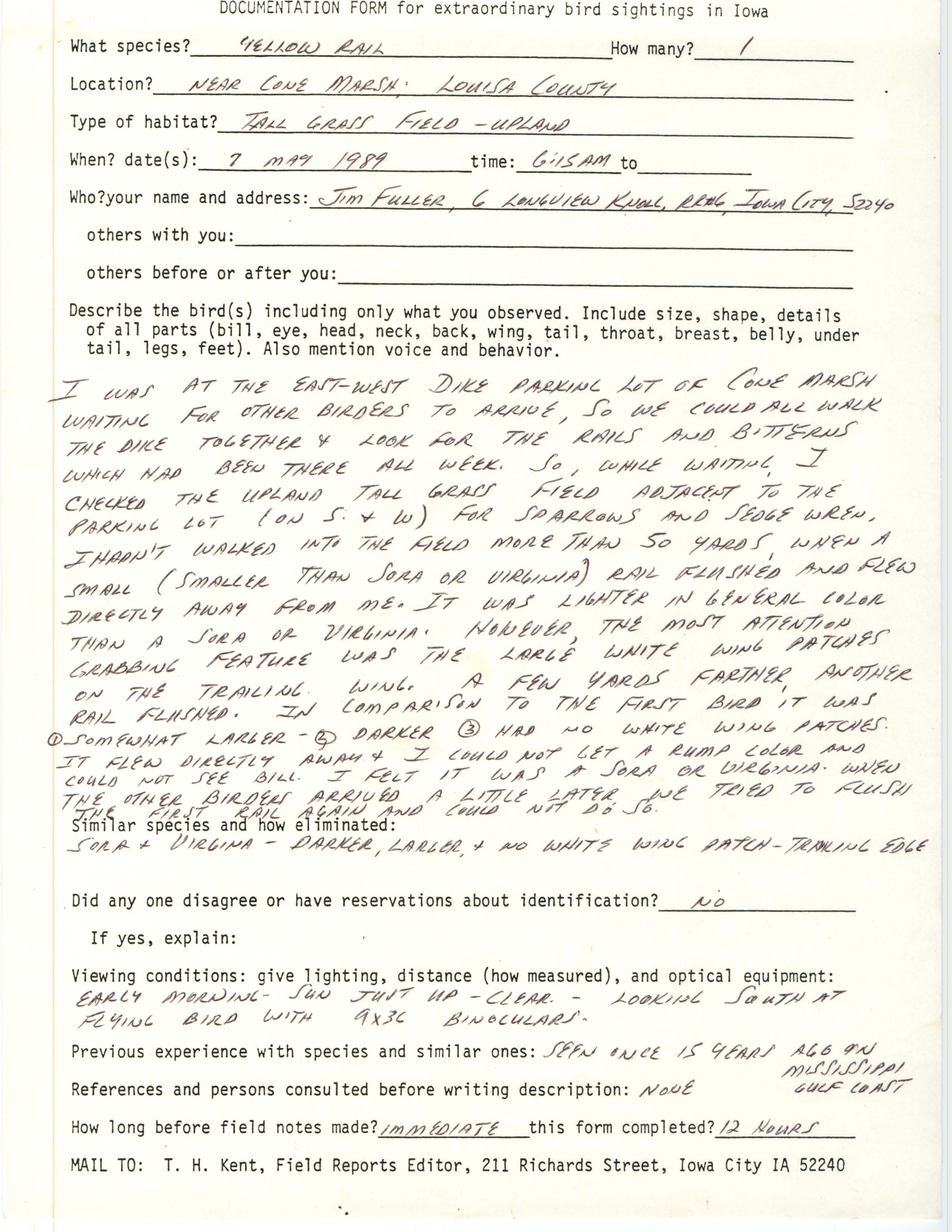 Rare bird documentation form for Yellow Rail near Cone Marsh, 1989