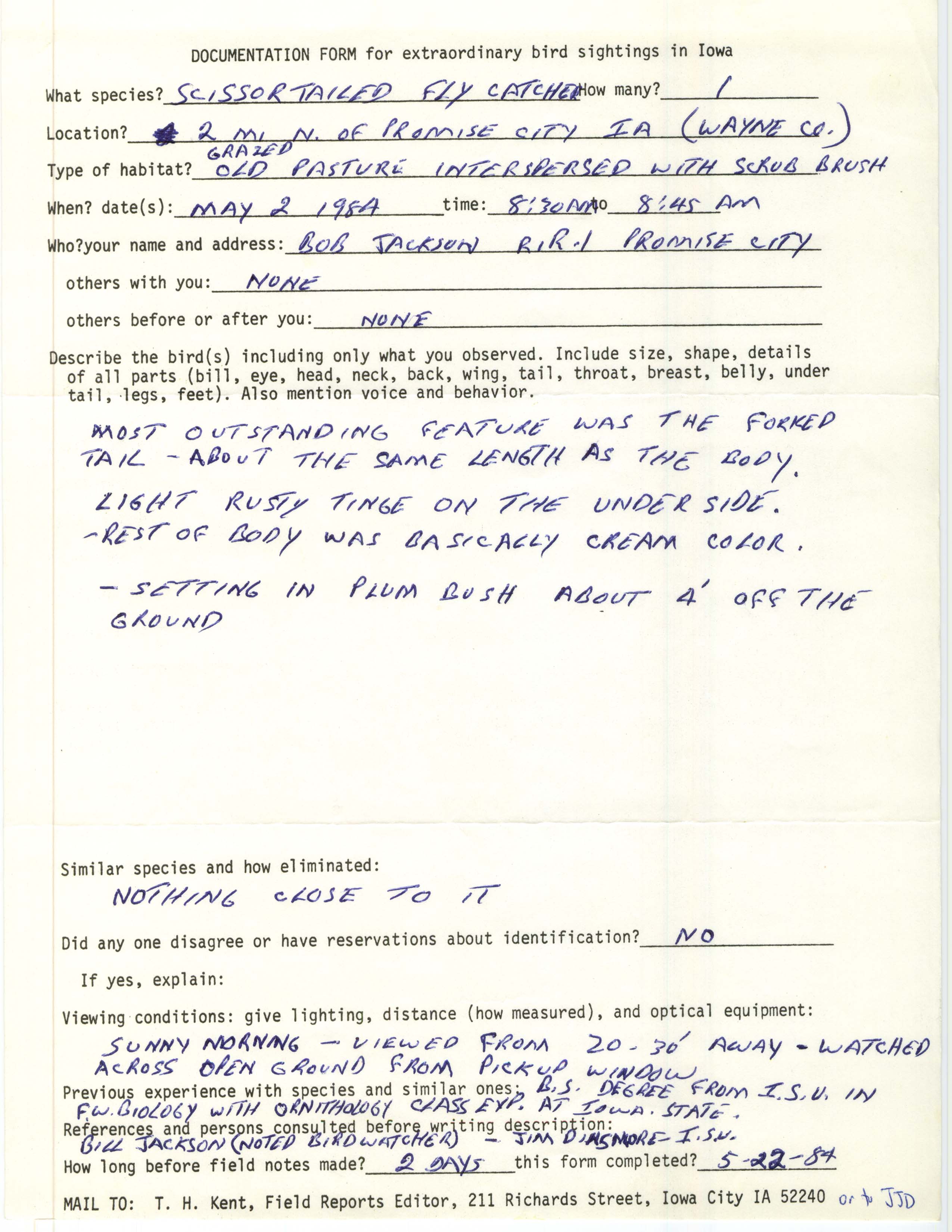 Rare bird documentation form for Scissor-tailed Flycatcher north of Promise City, 1984