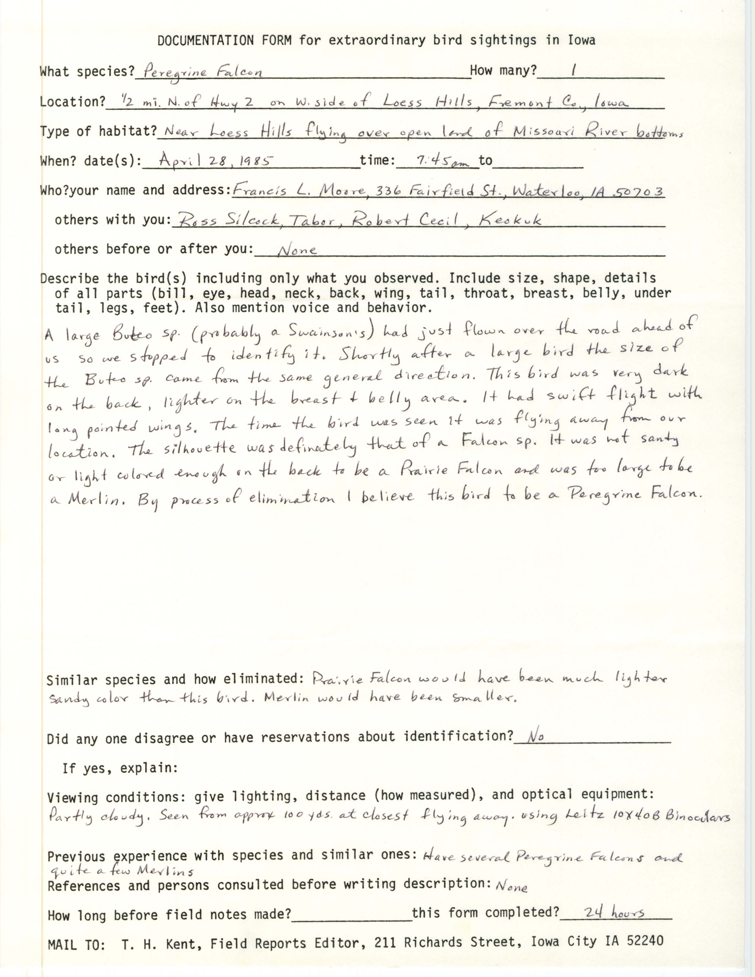 Rare bird documentation form for Peregrine Falcon at Loess Hills, 1985