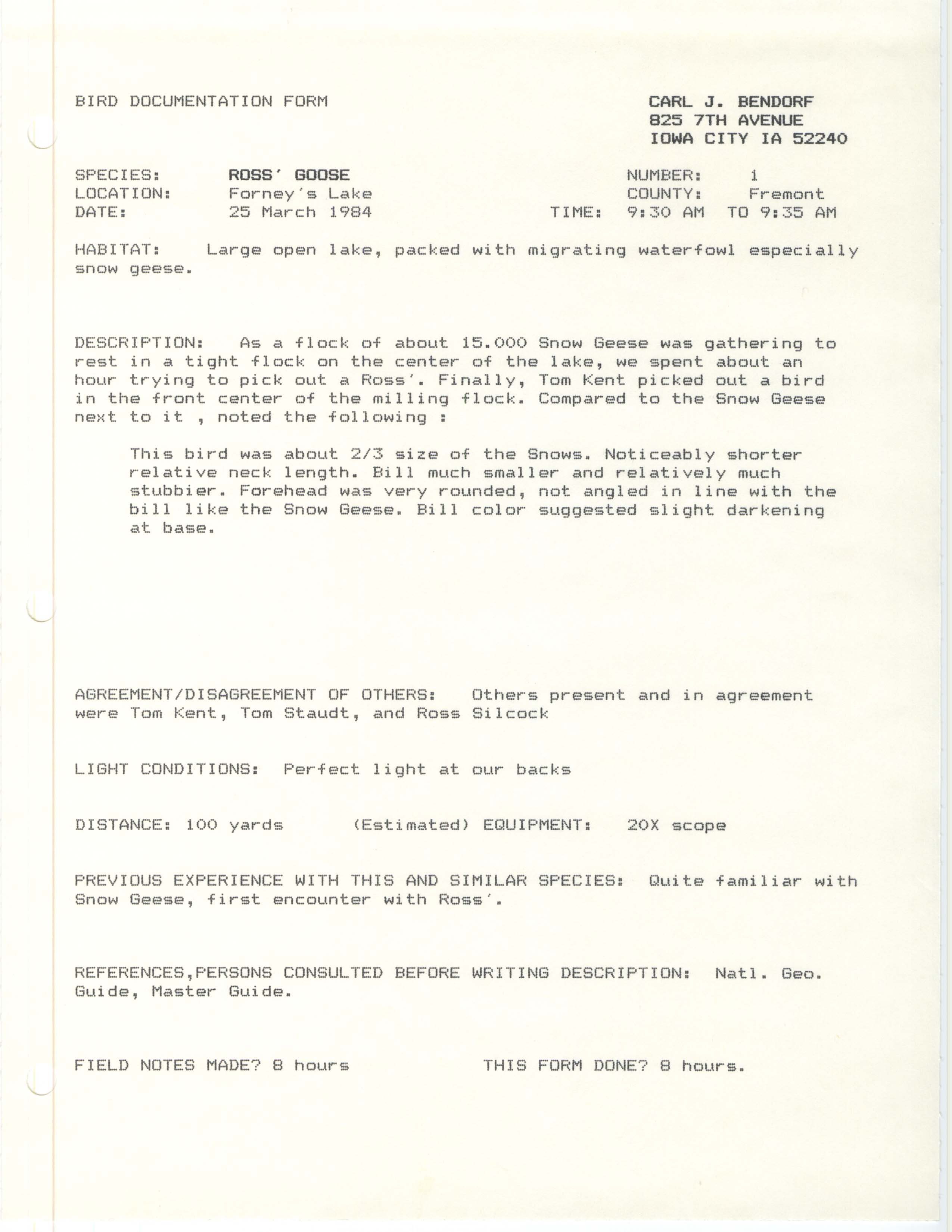 Rare bird documentation form for Ross' Goose at Forneys Lake, 1984
