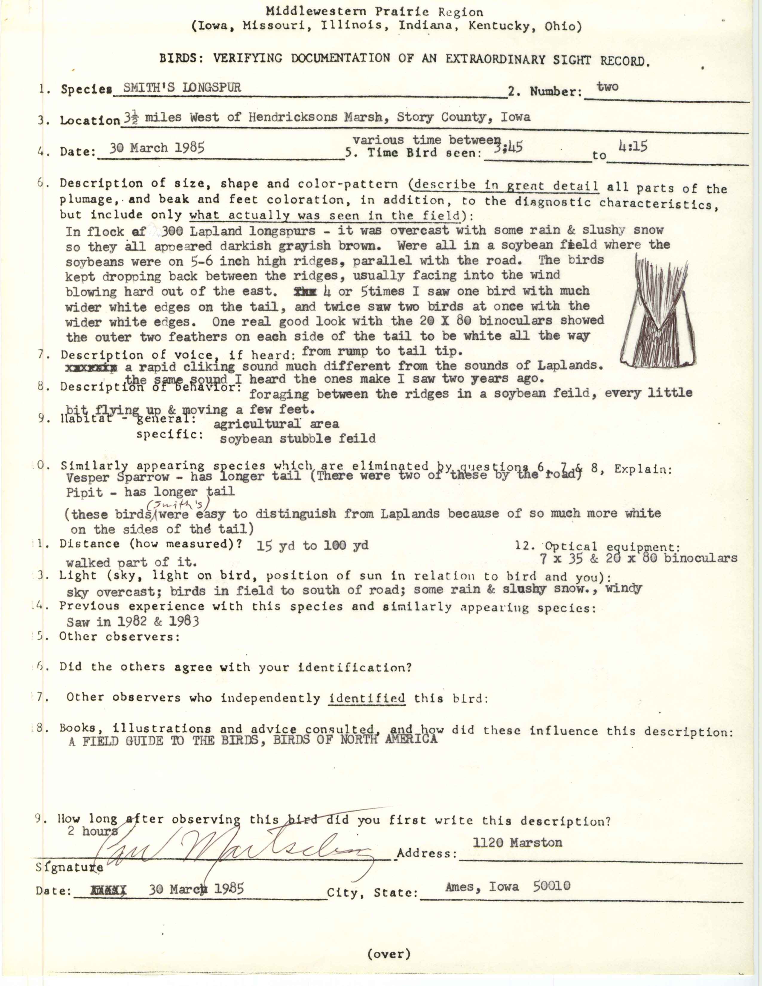 Rare bird documentation form for Smith's Longspur west of Hendrickson Marsh, 1985