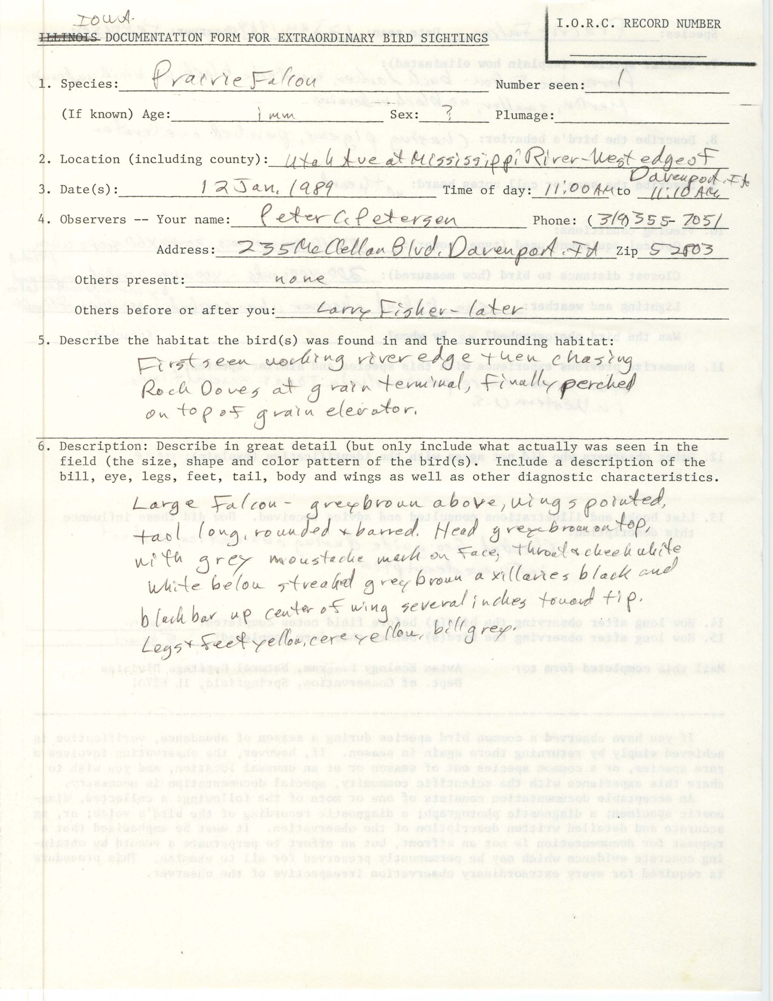 Rare bird documentation form for Prairie Falcon at Davenport, 1989