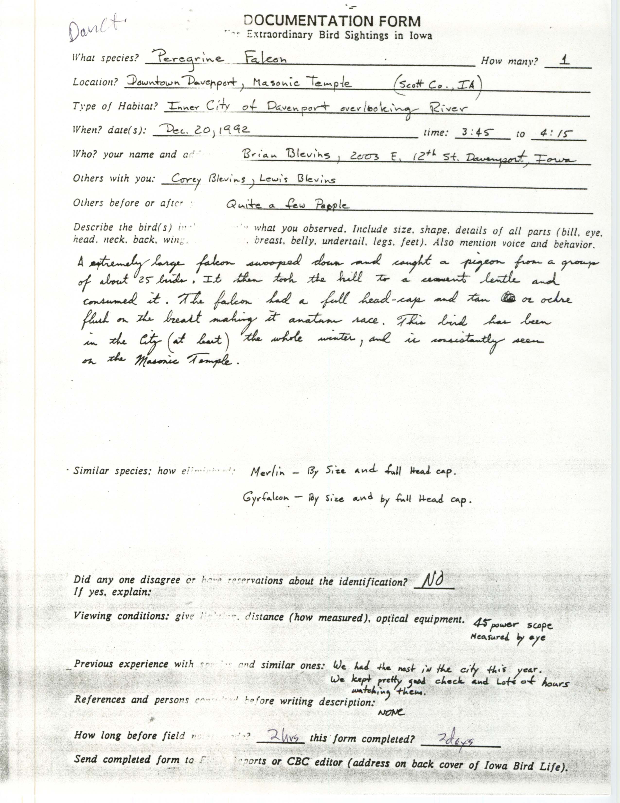 Rare bird documentation form for Peregrine Falcon at Davenport, 1992