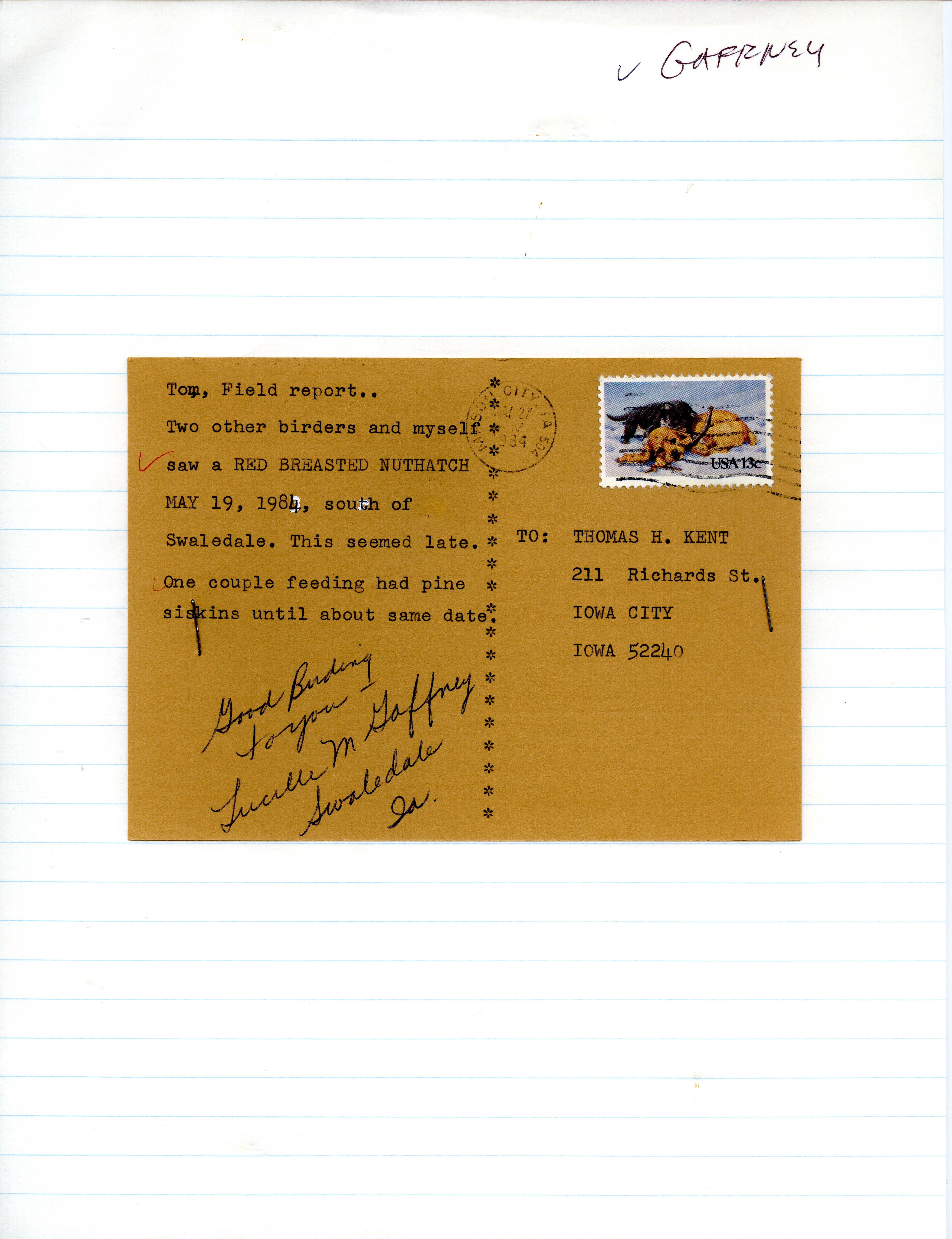 Lucille M. Gaffney postcard to Thomas H. Kent regarding bird sightings in Swaledale, Iowa, May 19, 1984