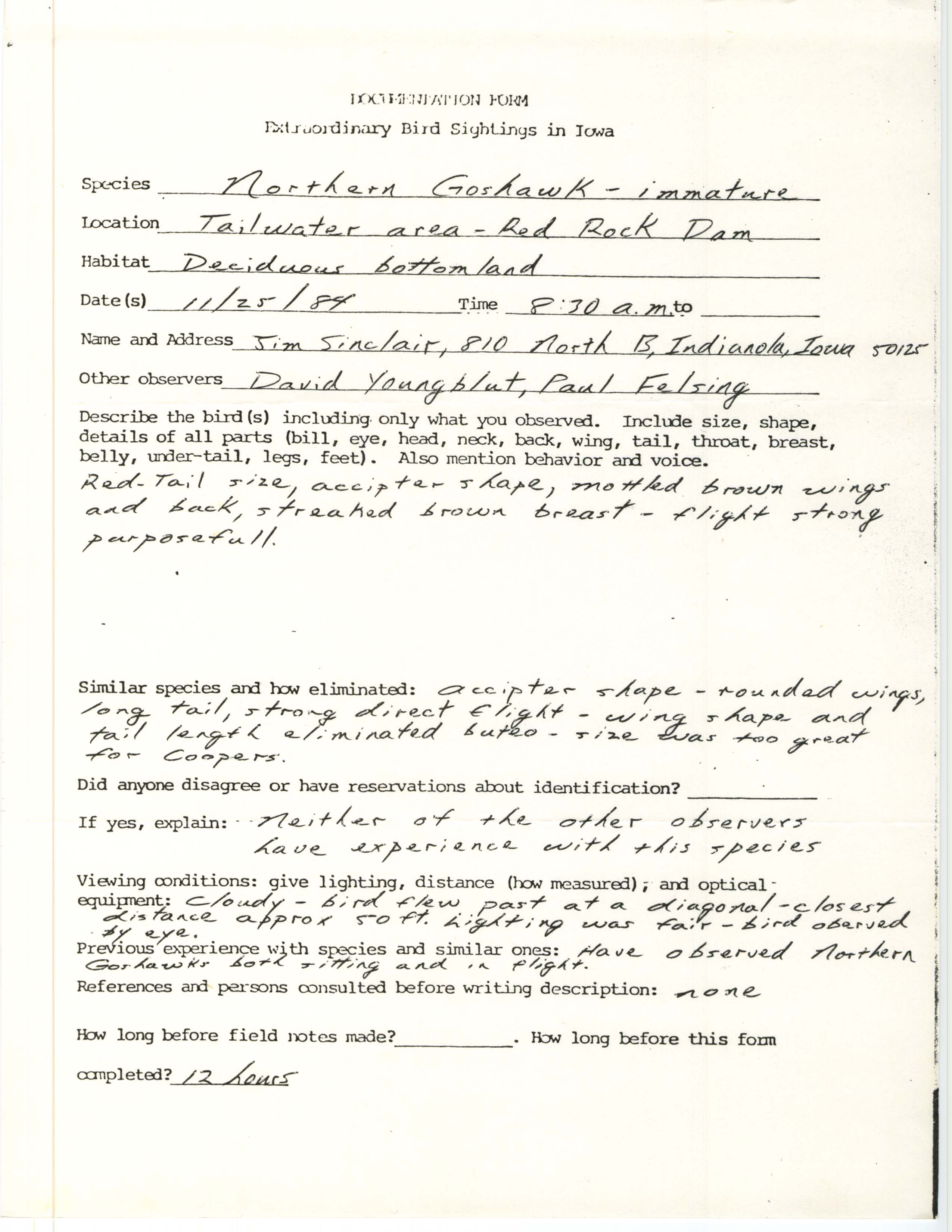 Rare bird documentation form for Northern Goshawk at Red Rock Dam, 1984
