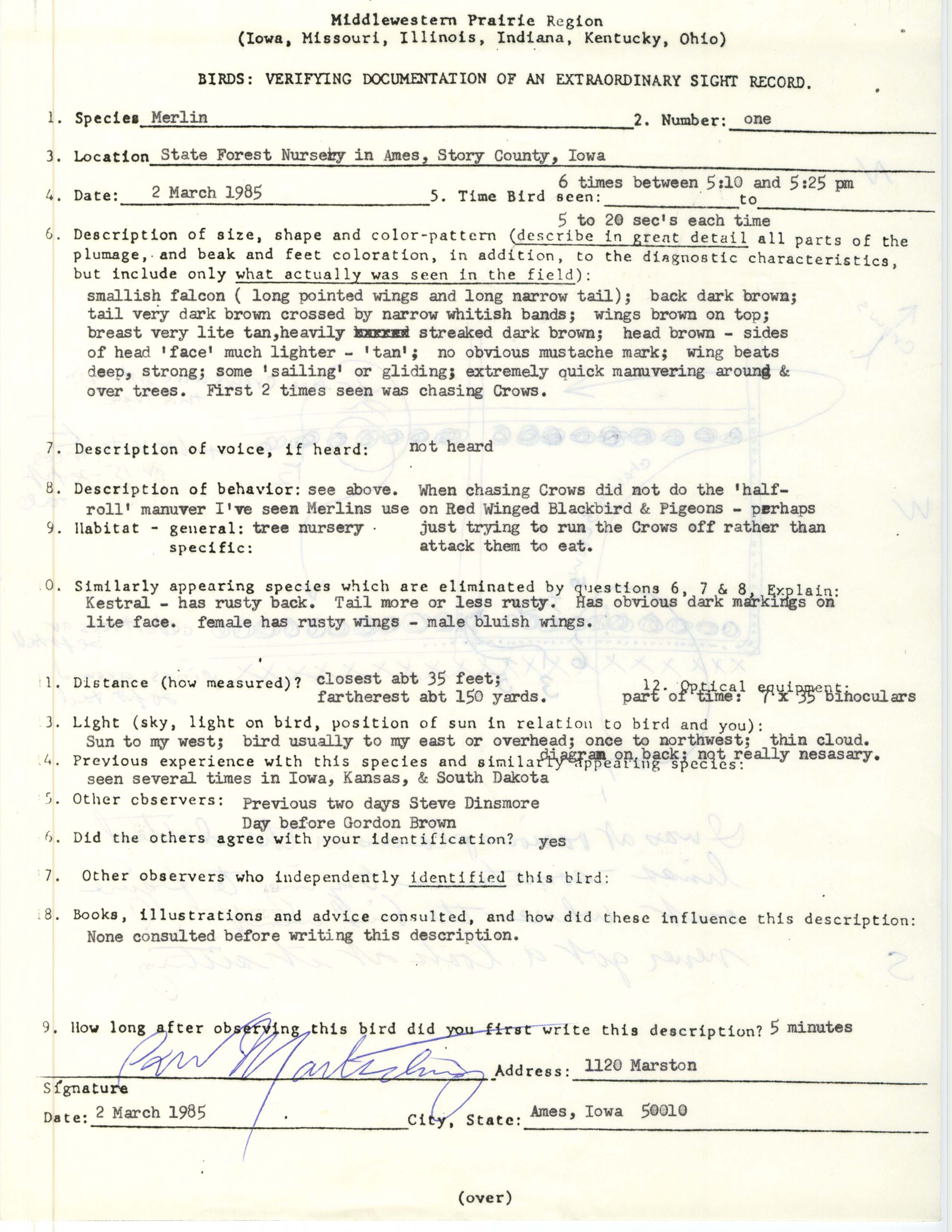 Rare bird documentation form for Merlin at State Forest Nursery, 1985
