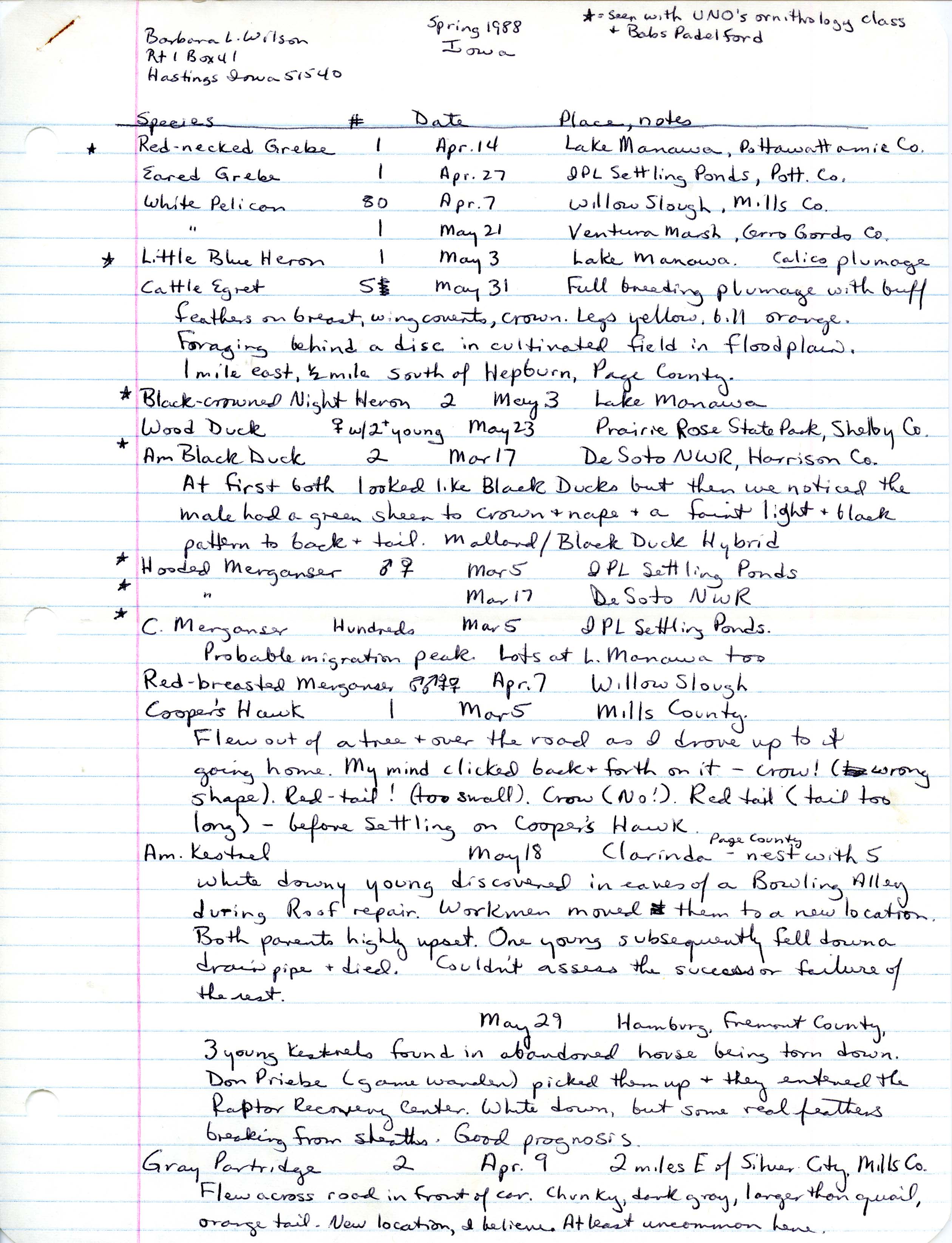 Field notes contributed by Barbara L. Wilson, spring 1988