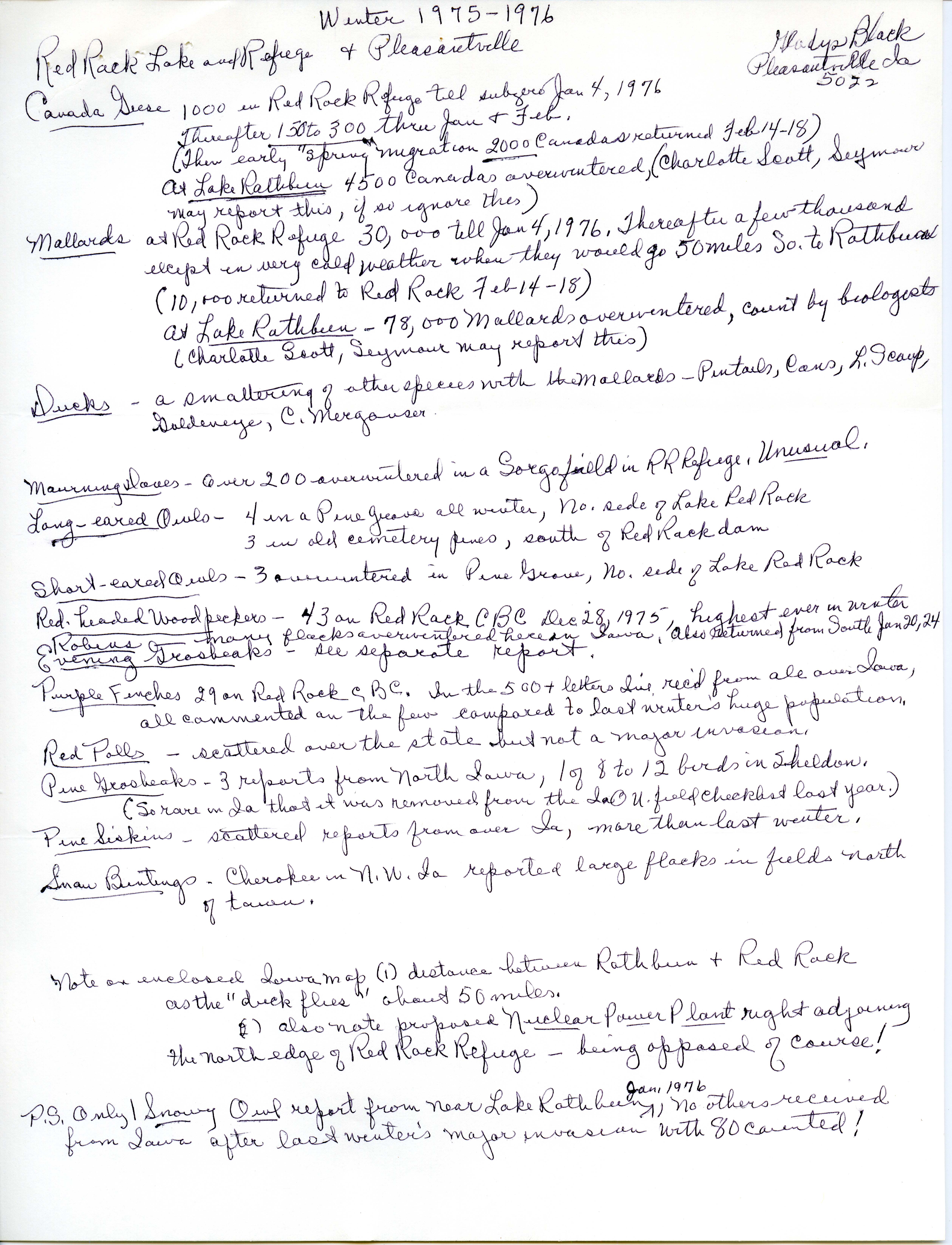 Gladys Black's notes on Red Rock Lake and Refuge and Pleasantville winter bird sightings