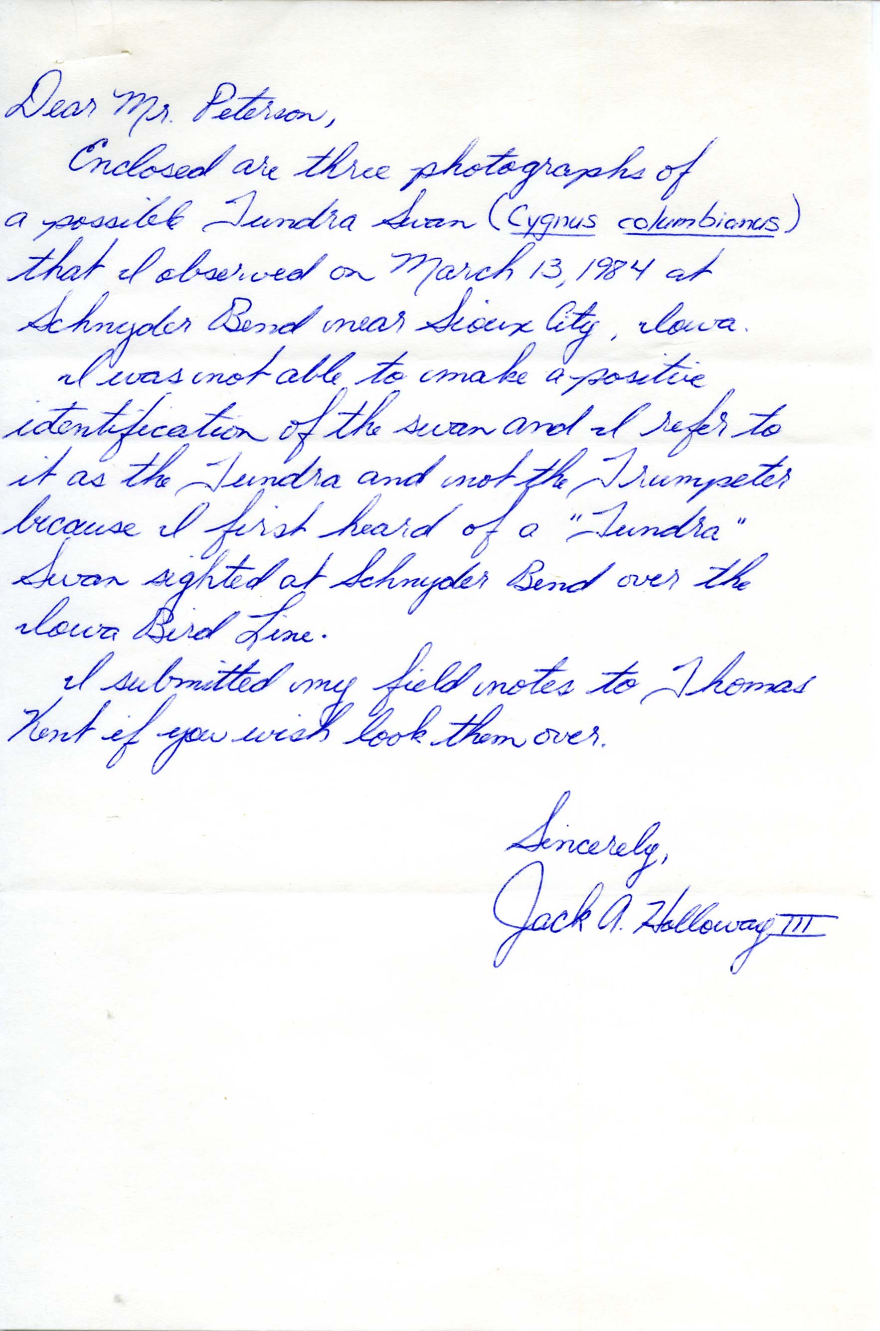 Jack A. Holloway III letter to Peter C. Petersen regarding bird sighting photographs of Tundra Swan at Snyder Bend in 1984