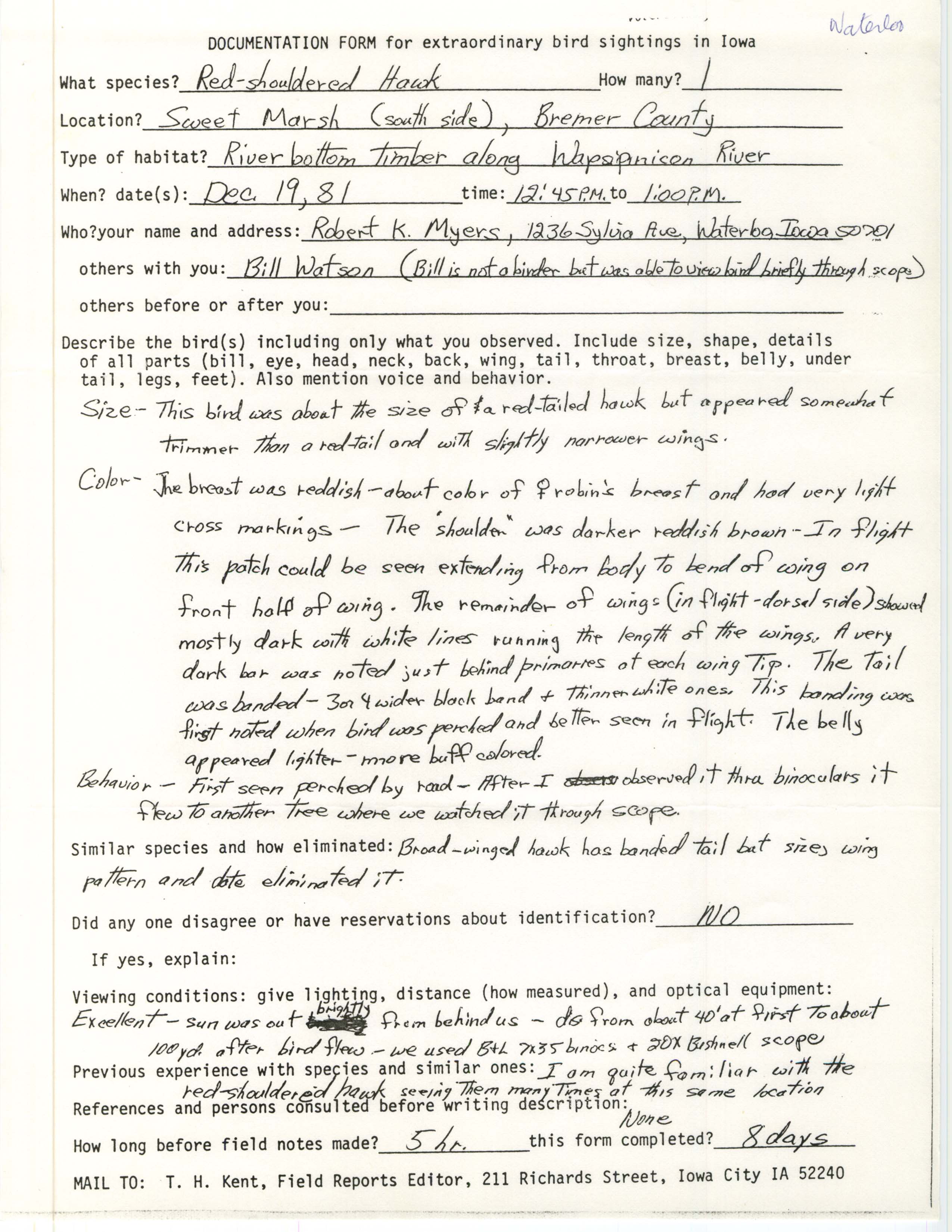 Rare bird documentation form for Red-shouldered Hawk at Sweet Marsh, 1981