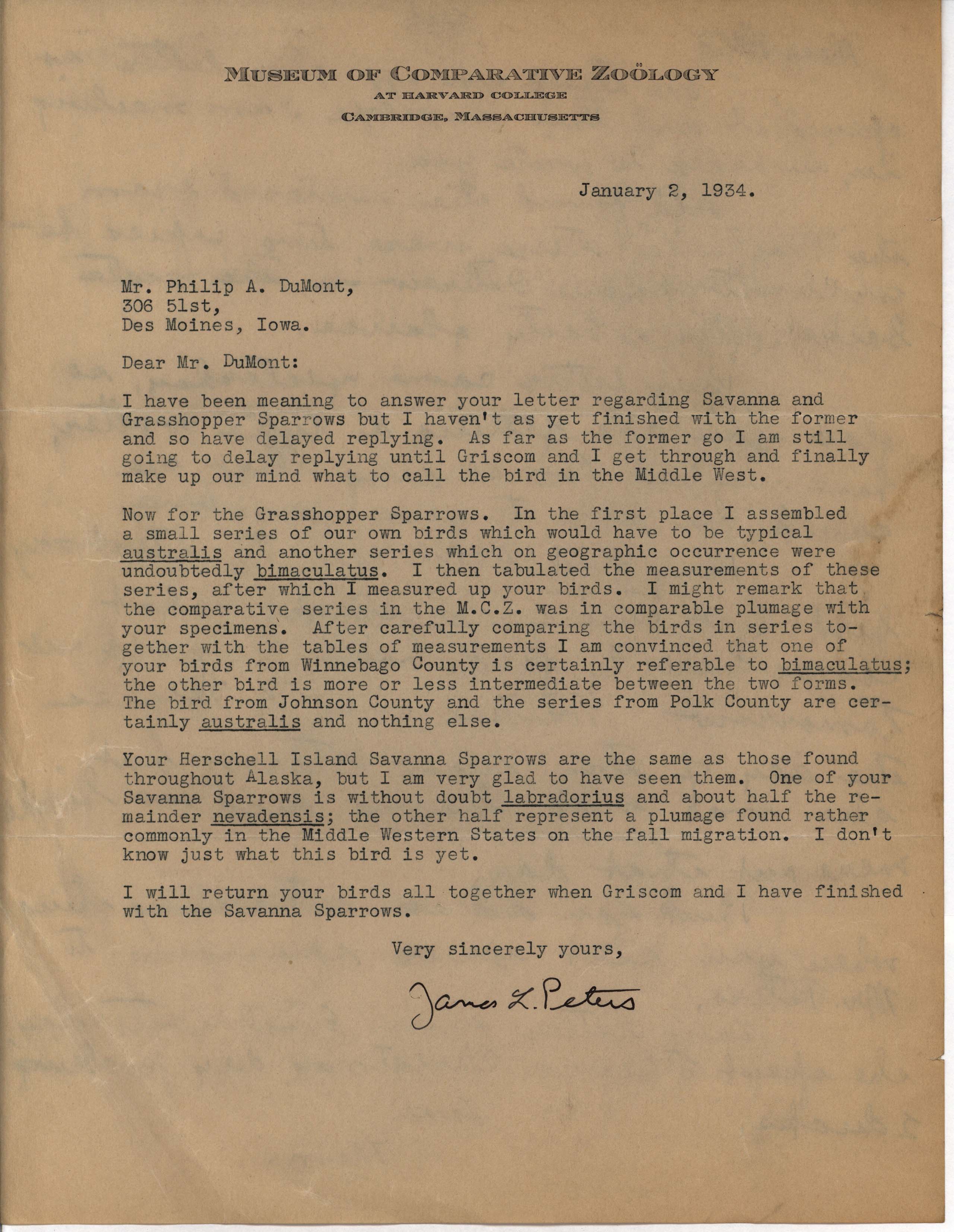 James Peters letter to Philip DuMont regarding Sparrow identification, January 2, 1934