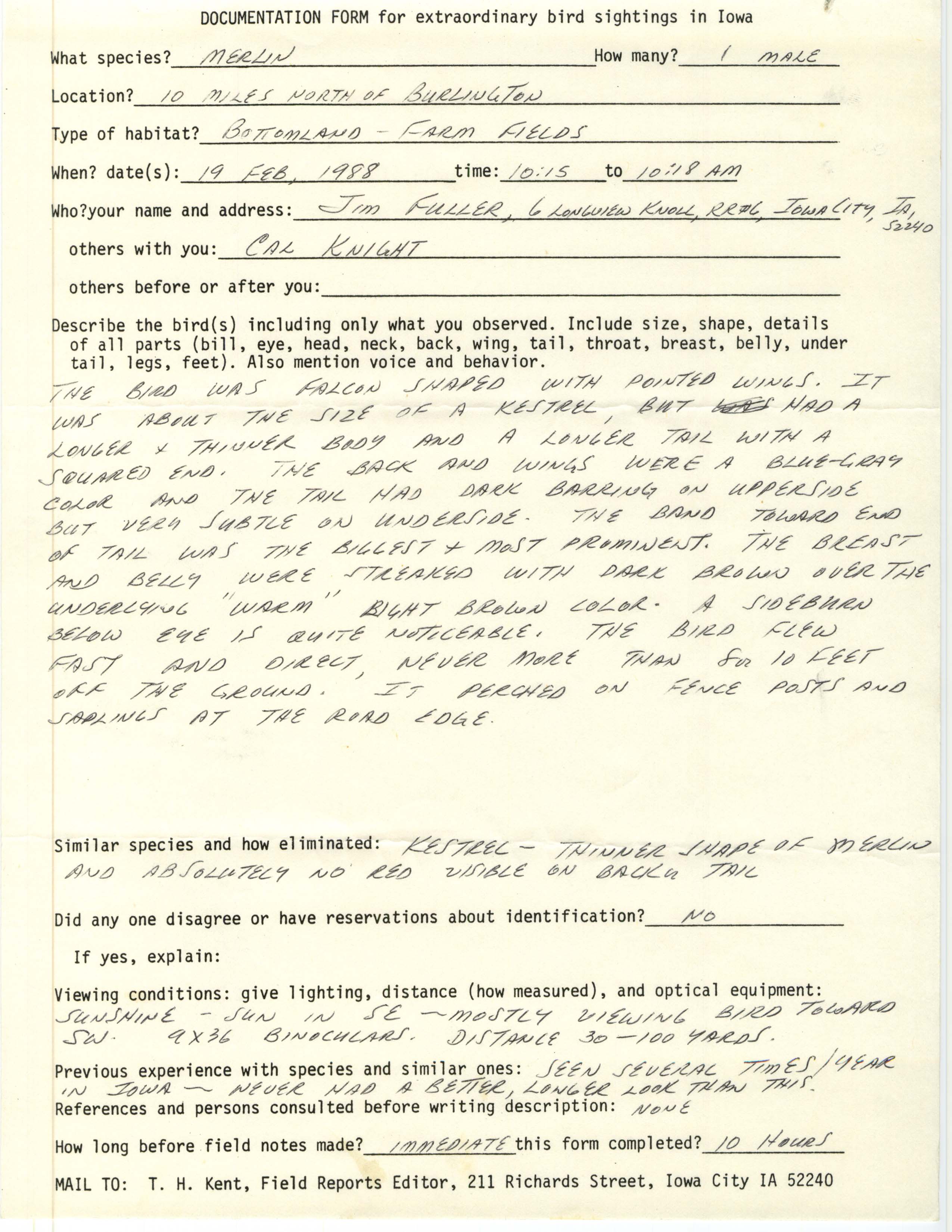 Rare bird documentation form for Merlin north of Burlington, 1988