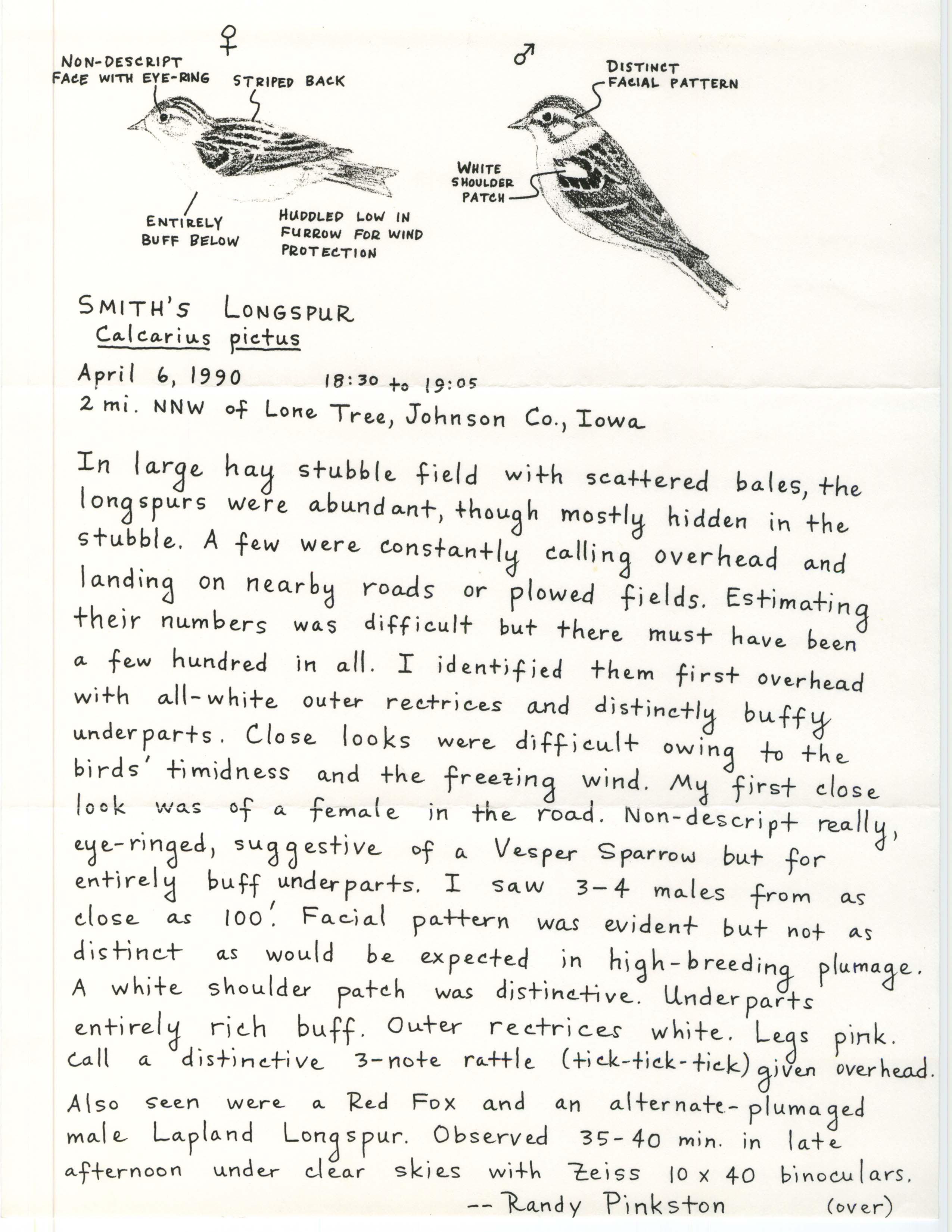 Rare bird documentation for Smith's Longspur north northwest of Lone Tree, 1990