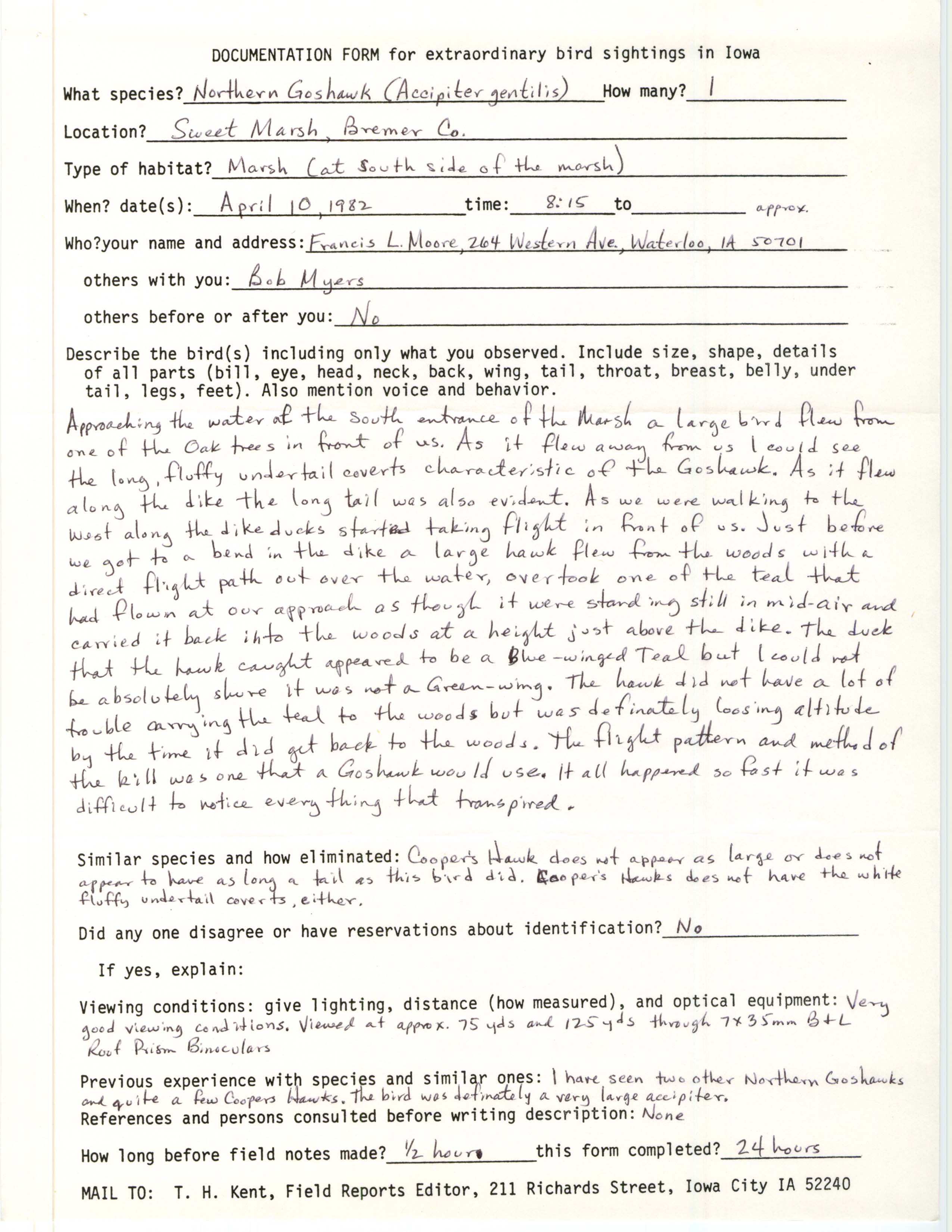 Rare bird documentation form for Northern Goshawk at Sweet Marsh, 1982