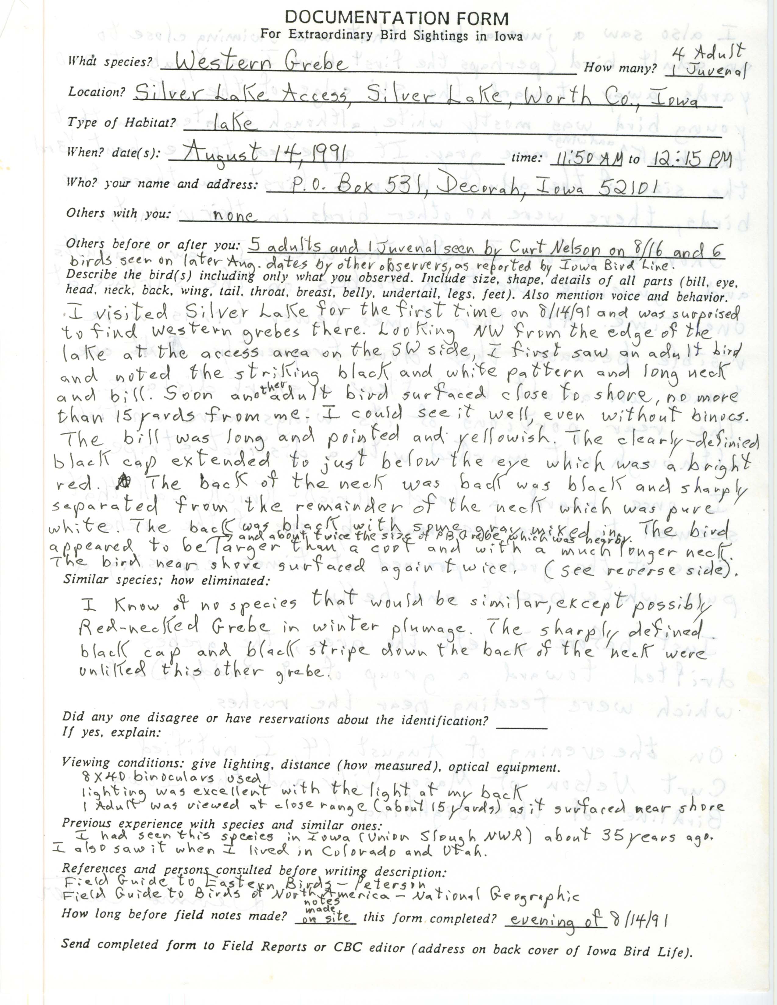 Rare bird documentation form for Western Grebe at Silver Lake Access, 1991