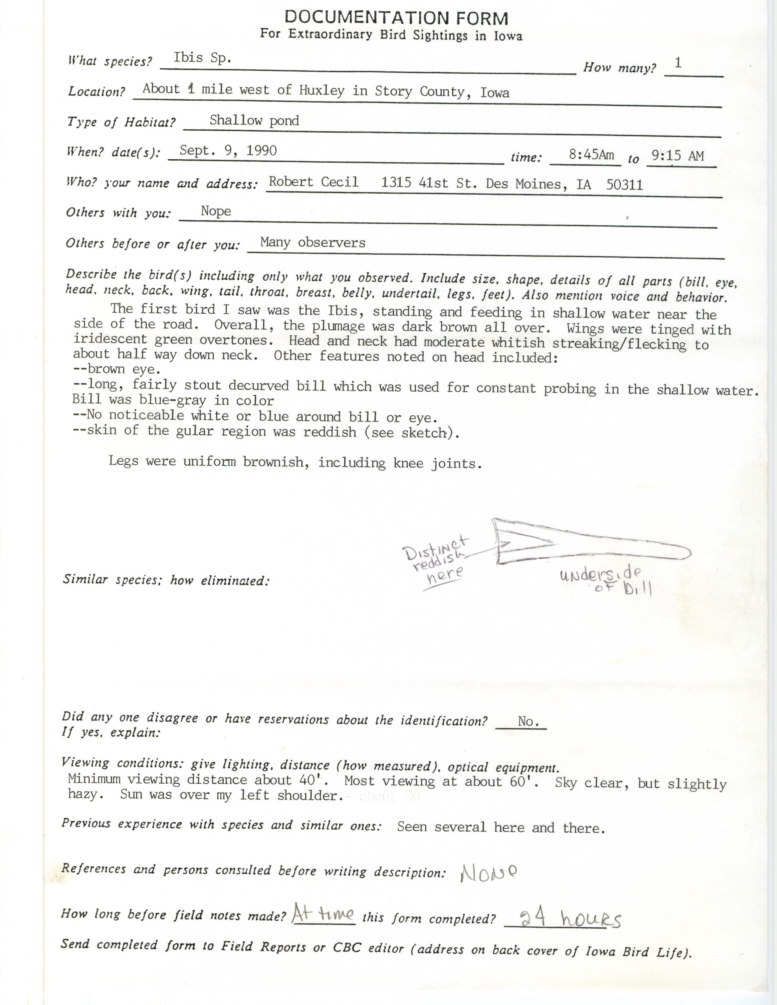 Rare bird documentation form for Ibis species at Huxley, 1990