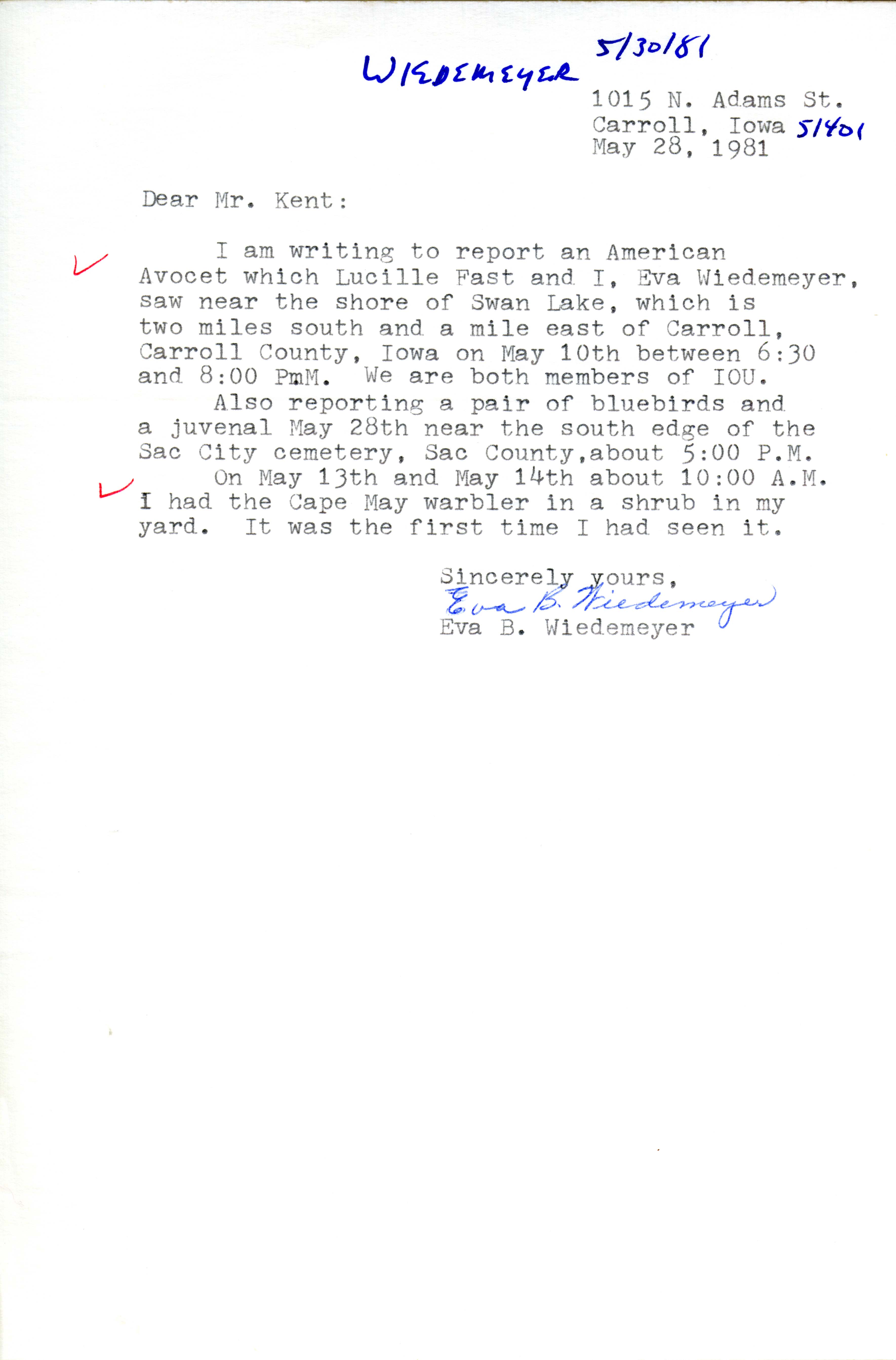 Eva Wiedemeyer letter to Thomas Kent regarding birds sighted, May 28, 1981