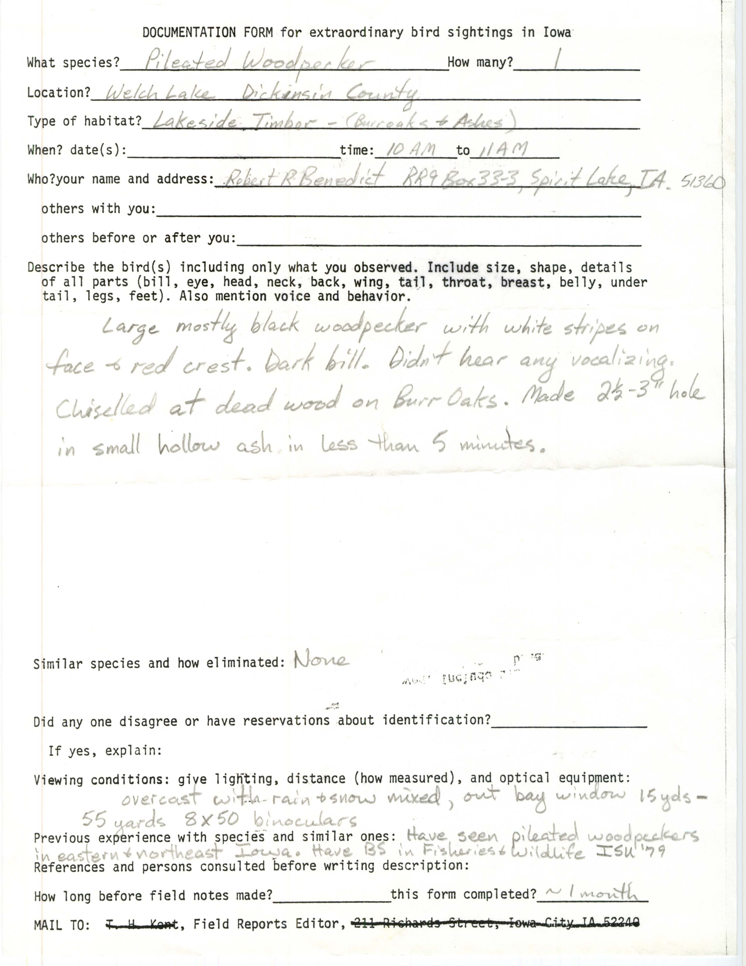 Rare bird documentation form for Pileated Woodpecker at Welch Lake, unknown year