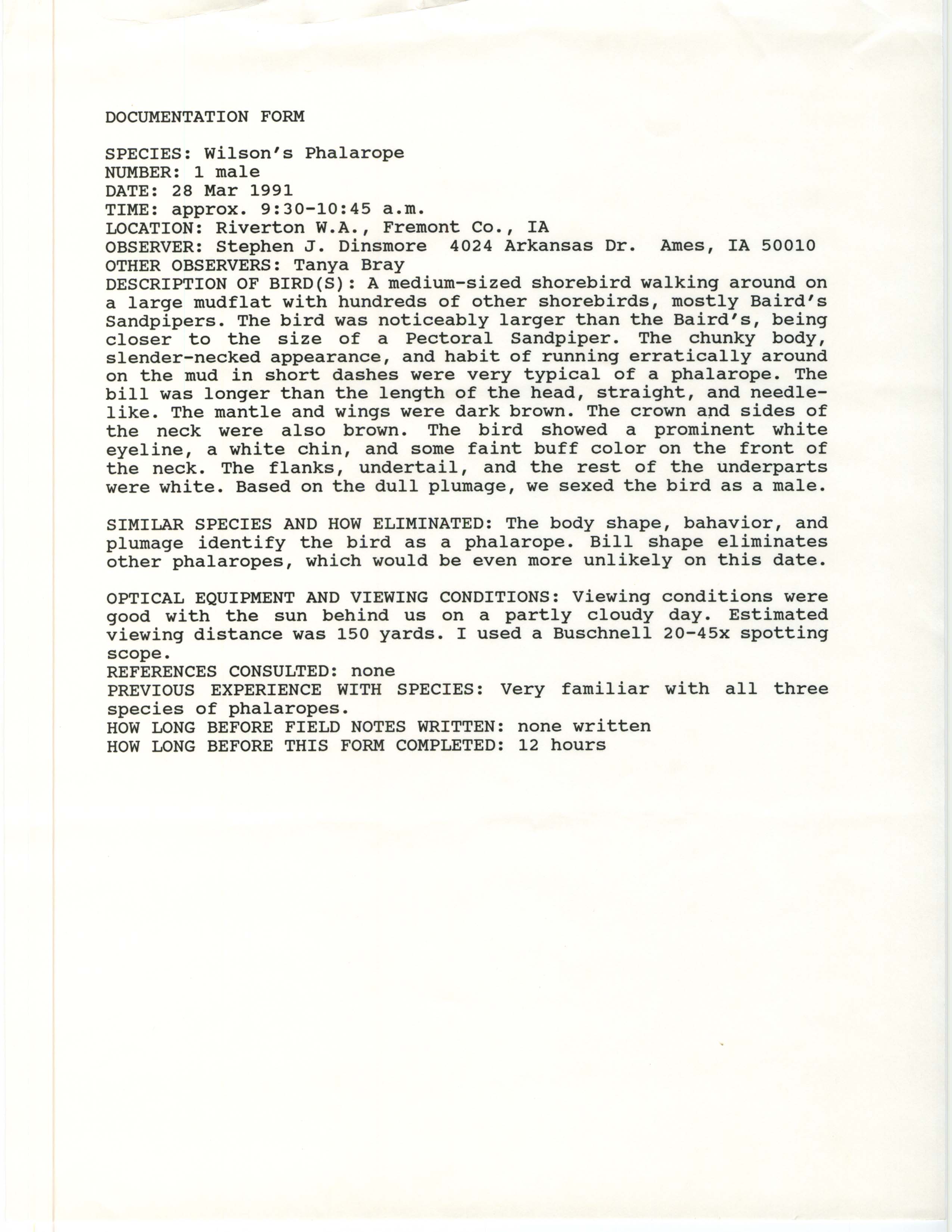 Rare bird documentation form for Wilson's Phalarope at Riverton Wildlife Area, 1991