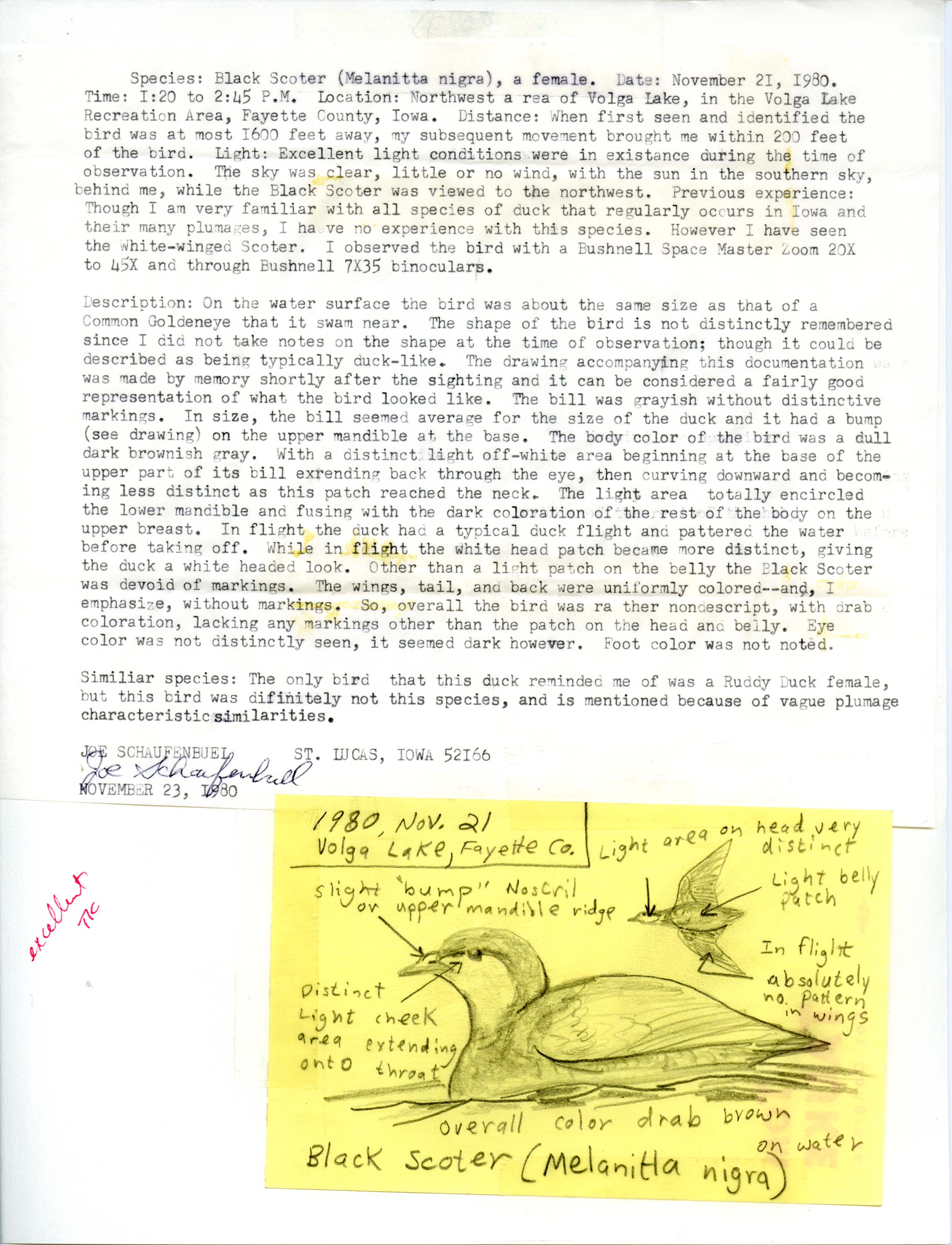 Rare bird documentation form for Black Scoter at Volga Lake, 1980