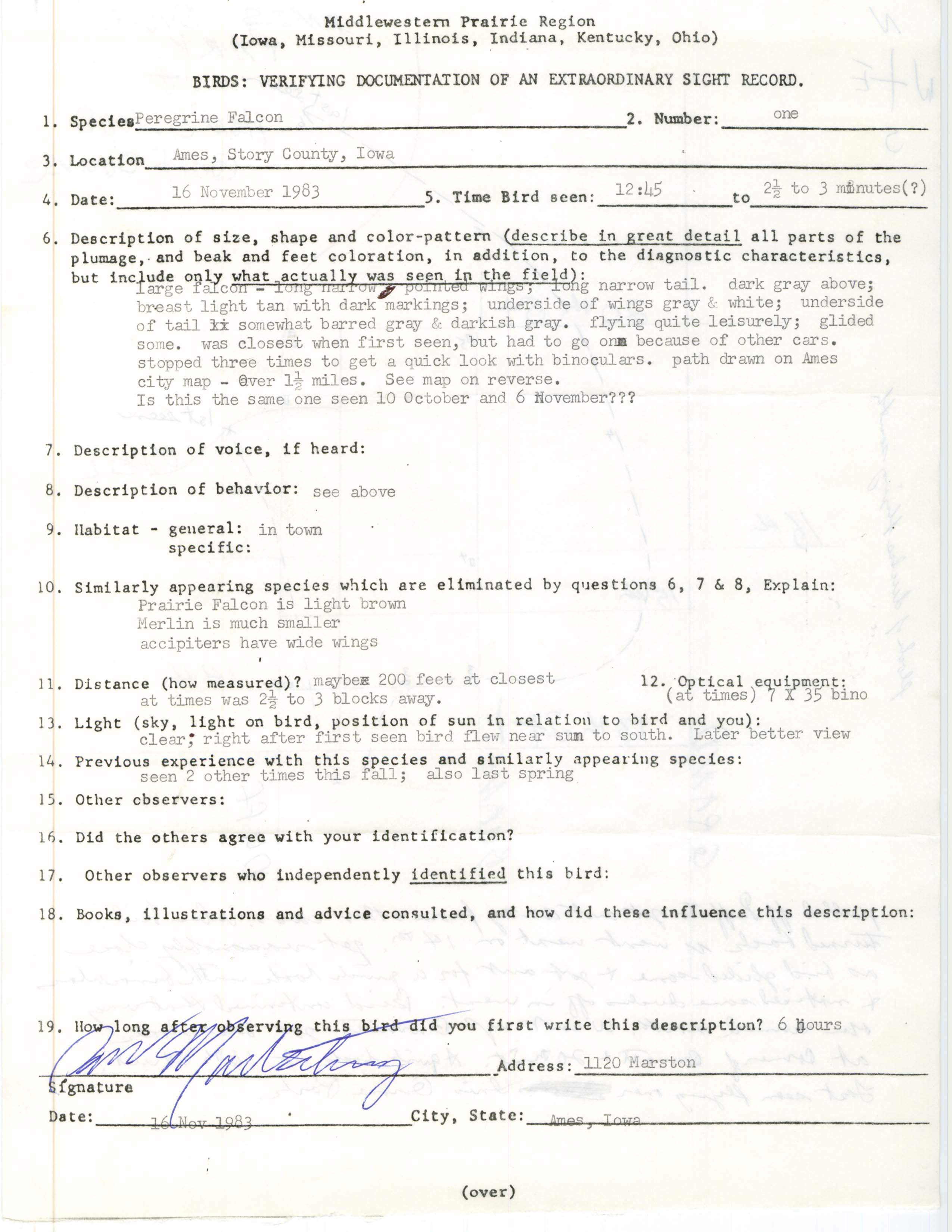 Rare bird documentation form for Peregrine Falcon at Ames, 1983