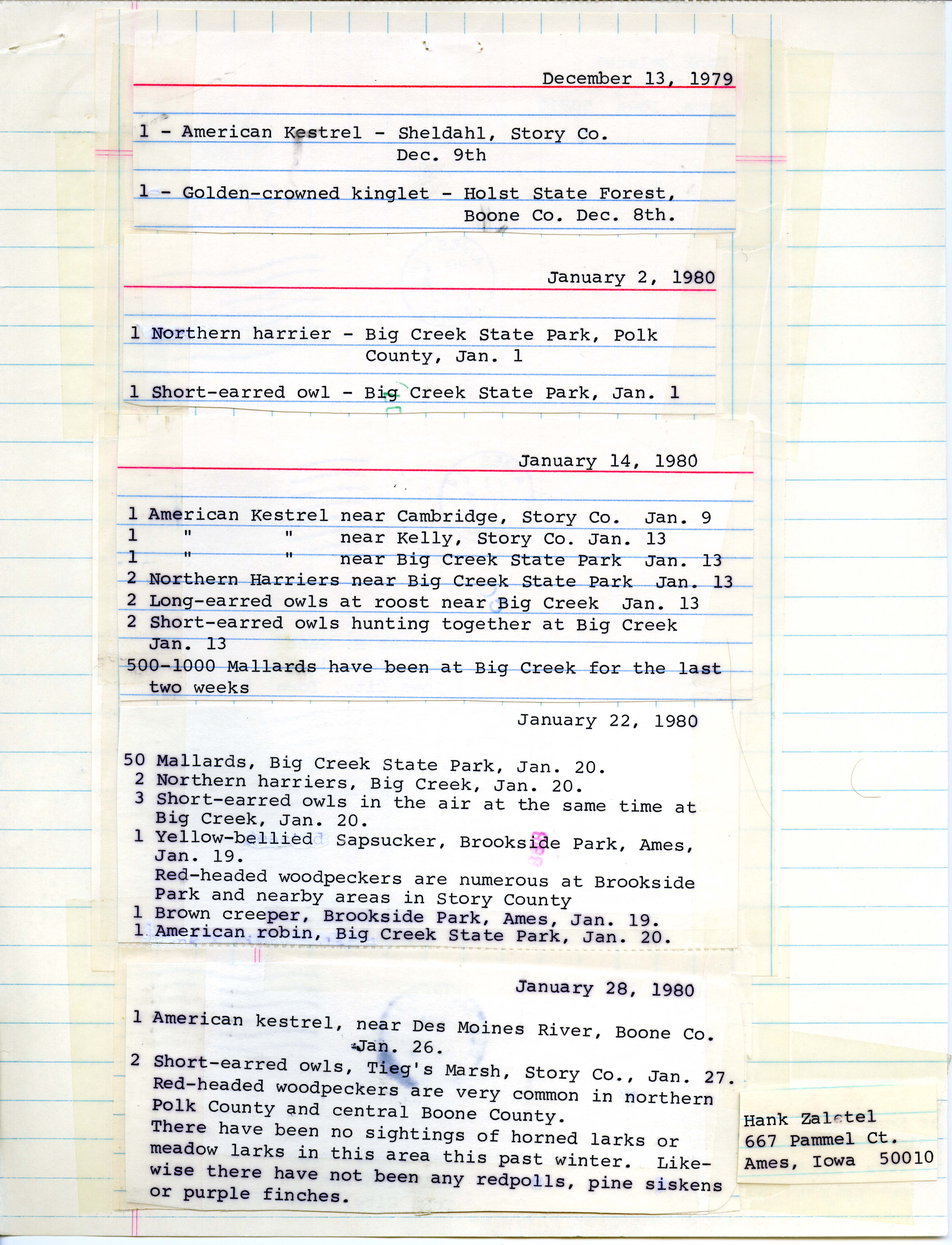 Field notes contributed by Hank  and Linda Zaletel, winter 1979-1980