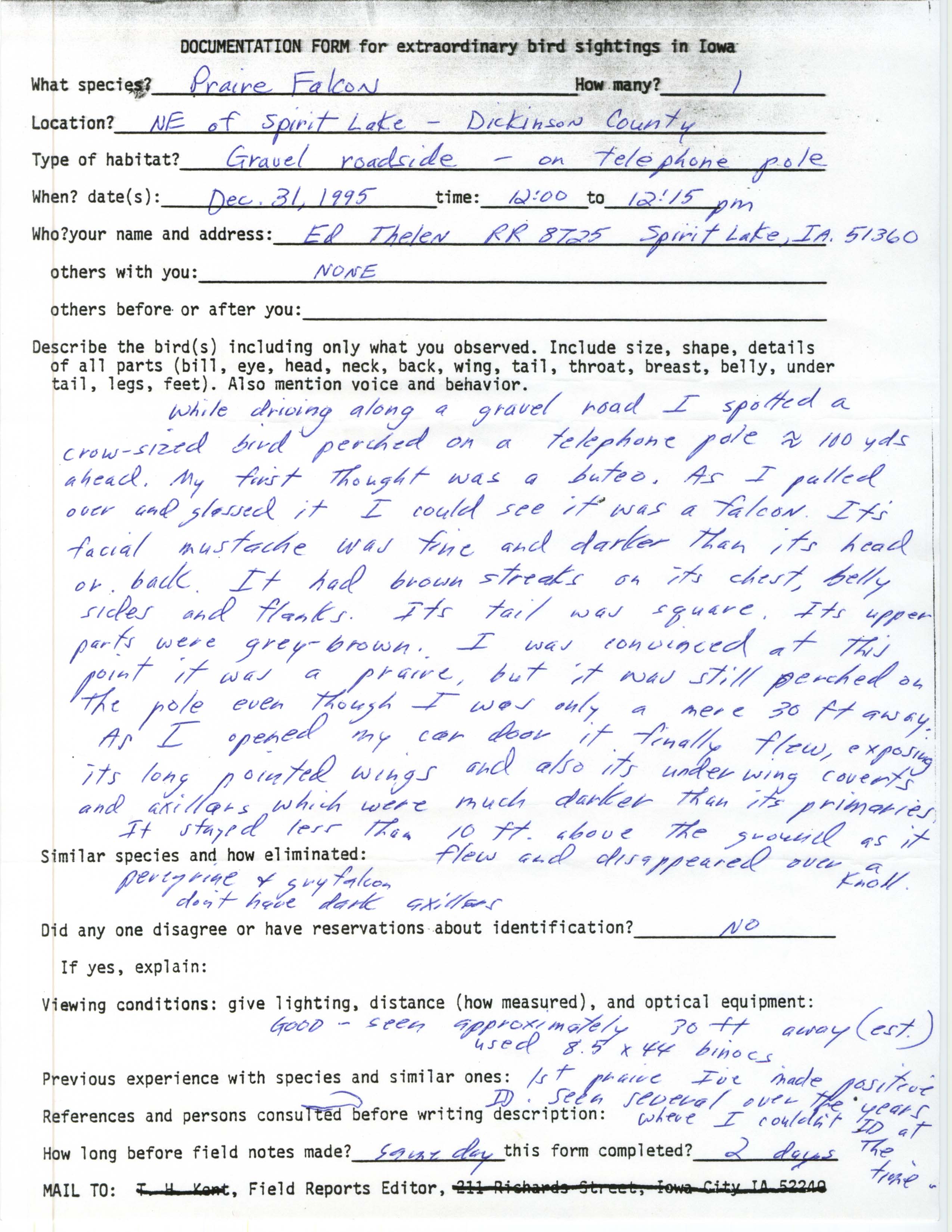 Rare bird documentation form for Prairie Falcon northeast of Spirit Lake, 1995