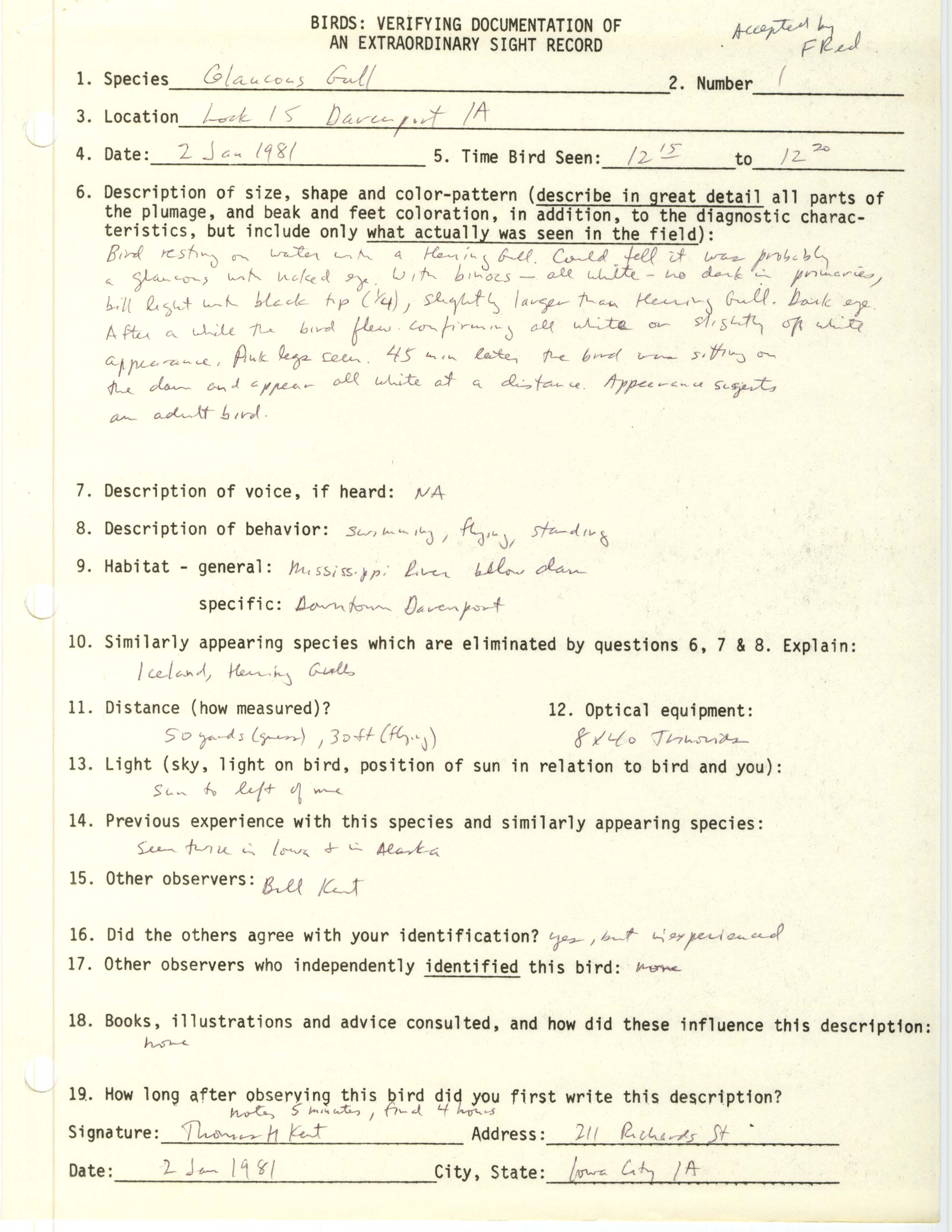 Rare bird documentation form for Glaucous Gull at Lock and Dam 15 at Davenport, 1981