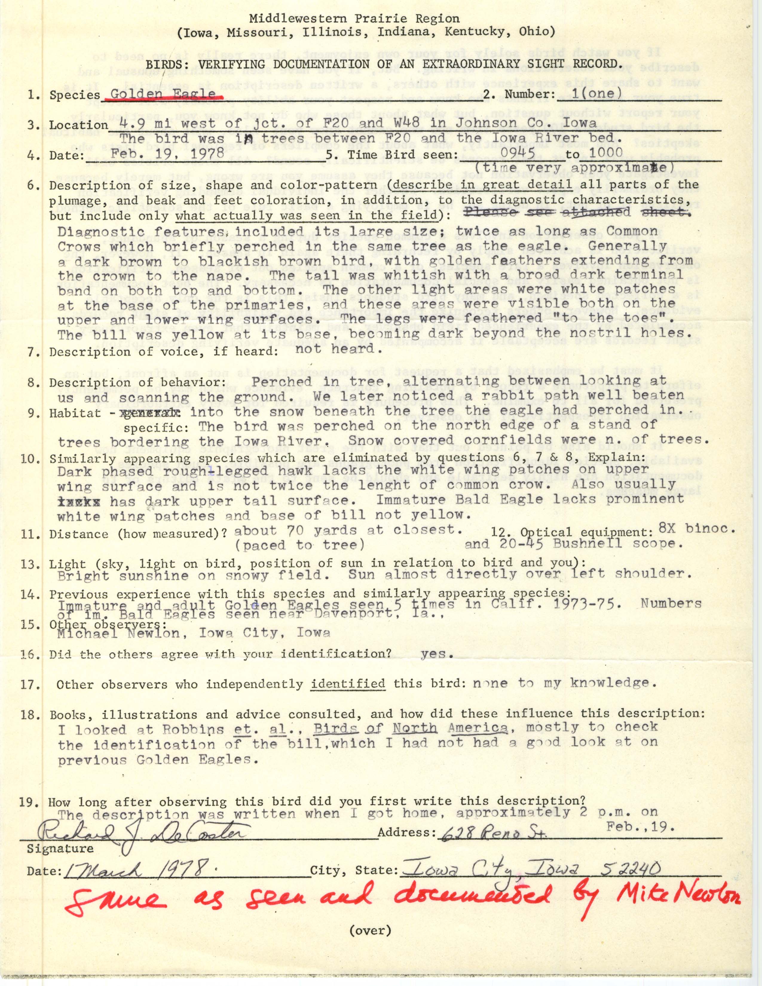 Rare bird documentation form for Golden Eagle at Johnson County, 1978