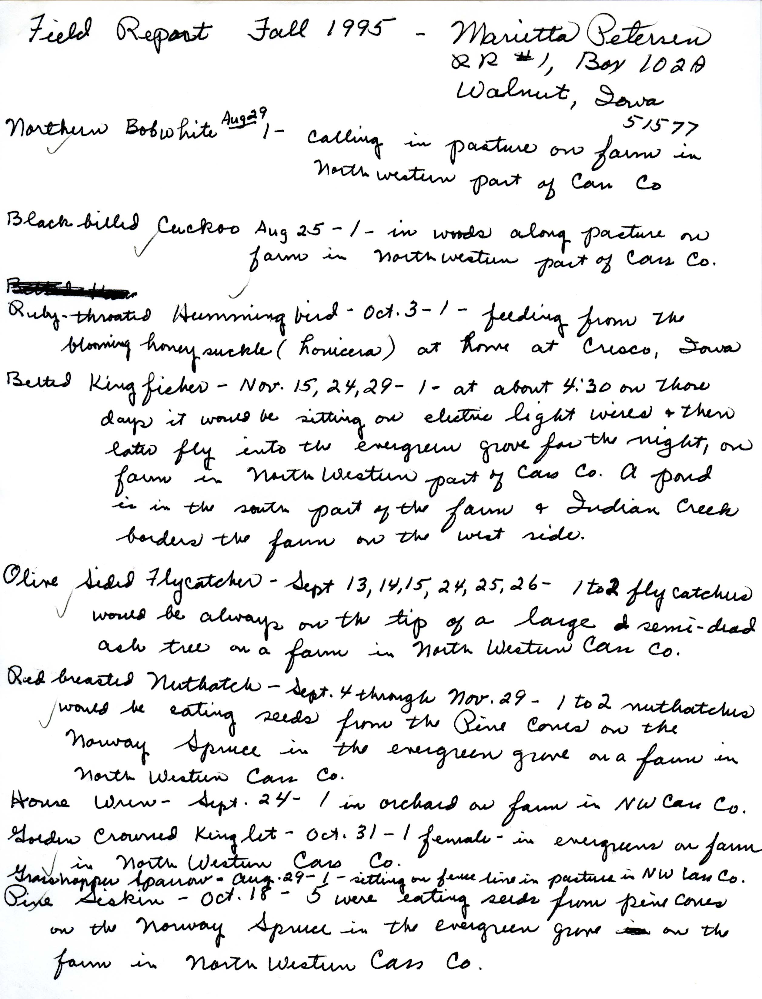 Field notes contributed by Marietta Petersen, fall 1995