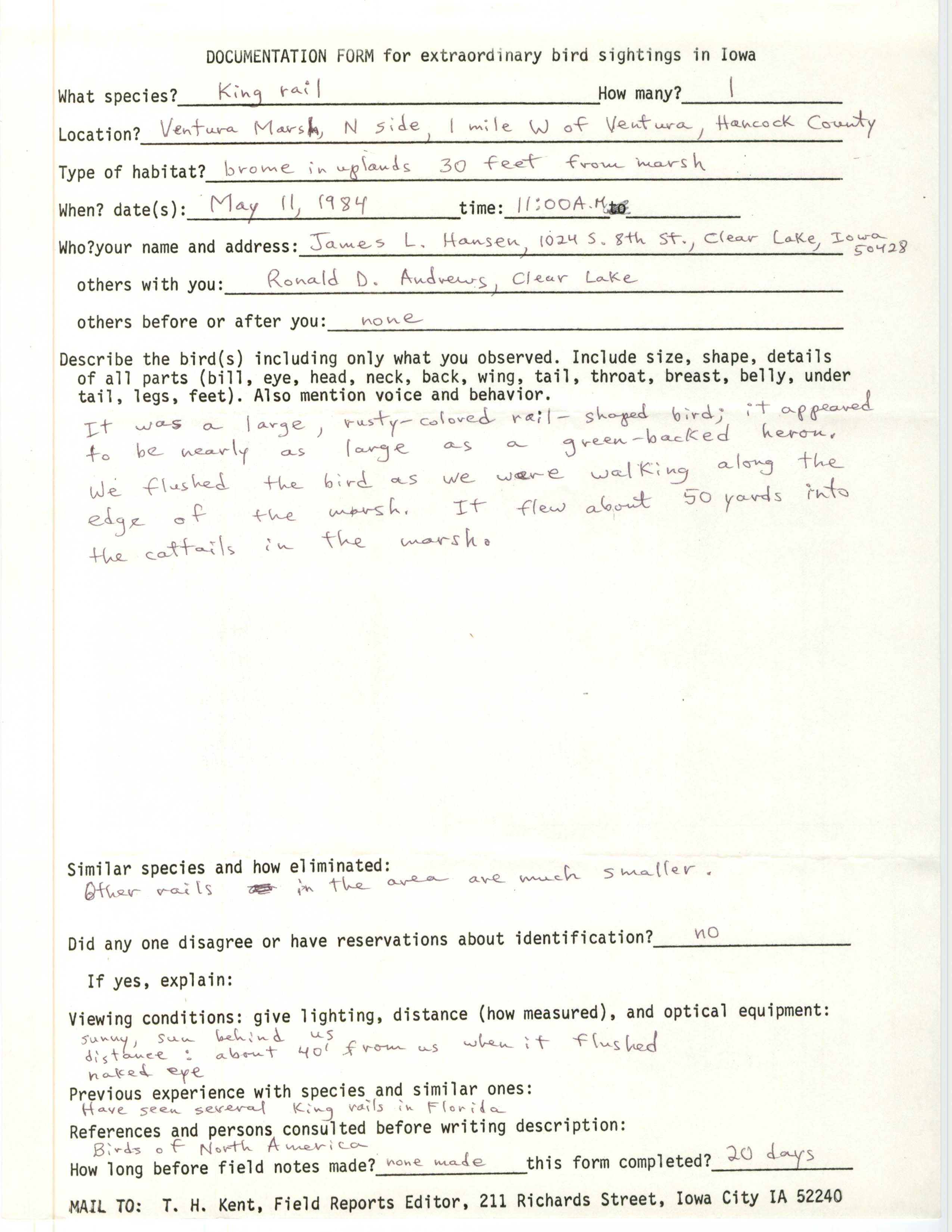 Rare bird documentation form for King Rail at Ventura Marsh, 1984