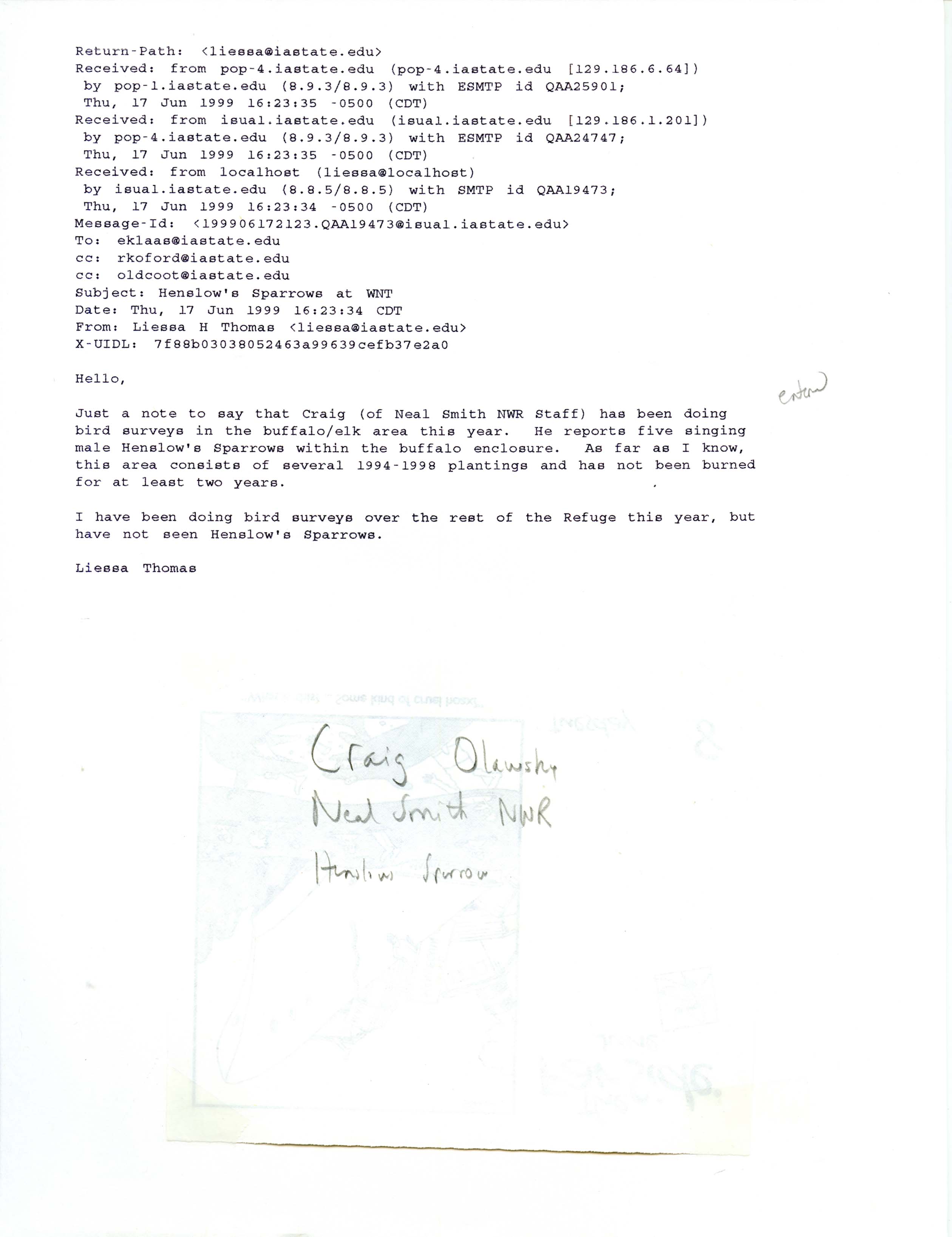 Liessa Thomas email to Jim Dinsmore regarding Henslow's Sparrow sighting, June 17, 1999