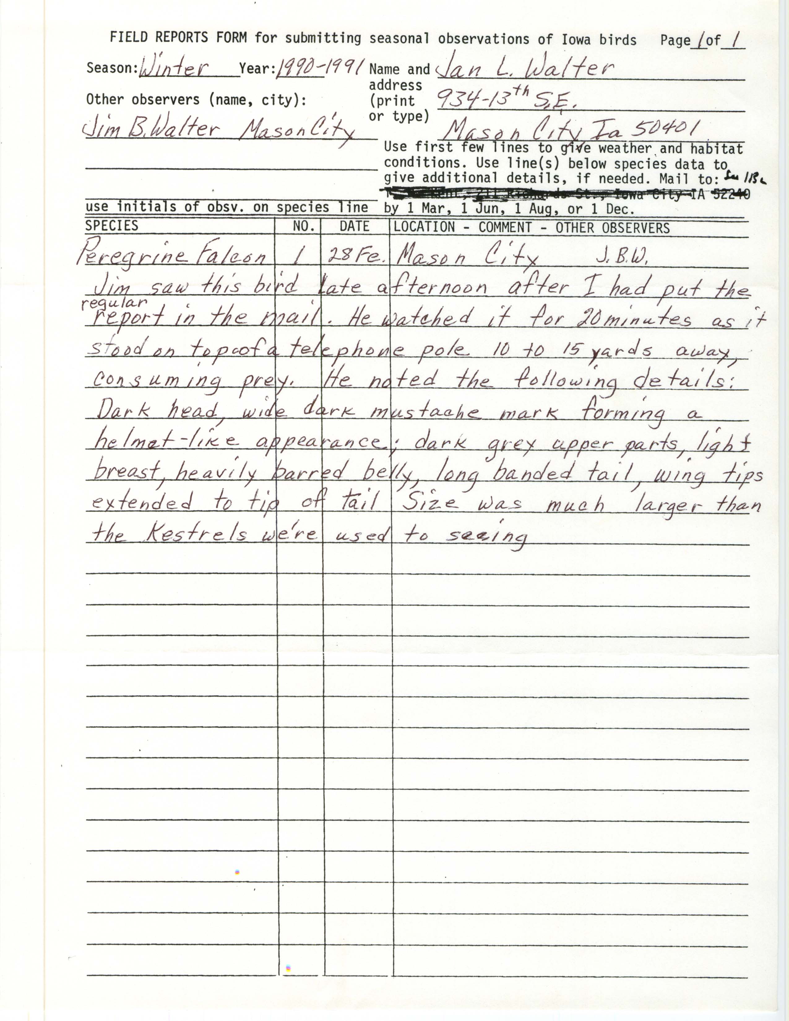 Rare bird documentation form for Peregrine Falcon at Mason City, 1991