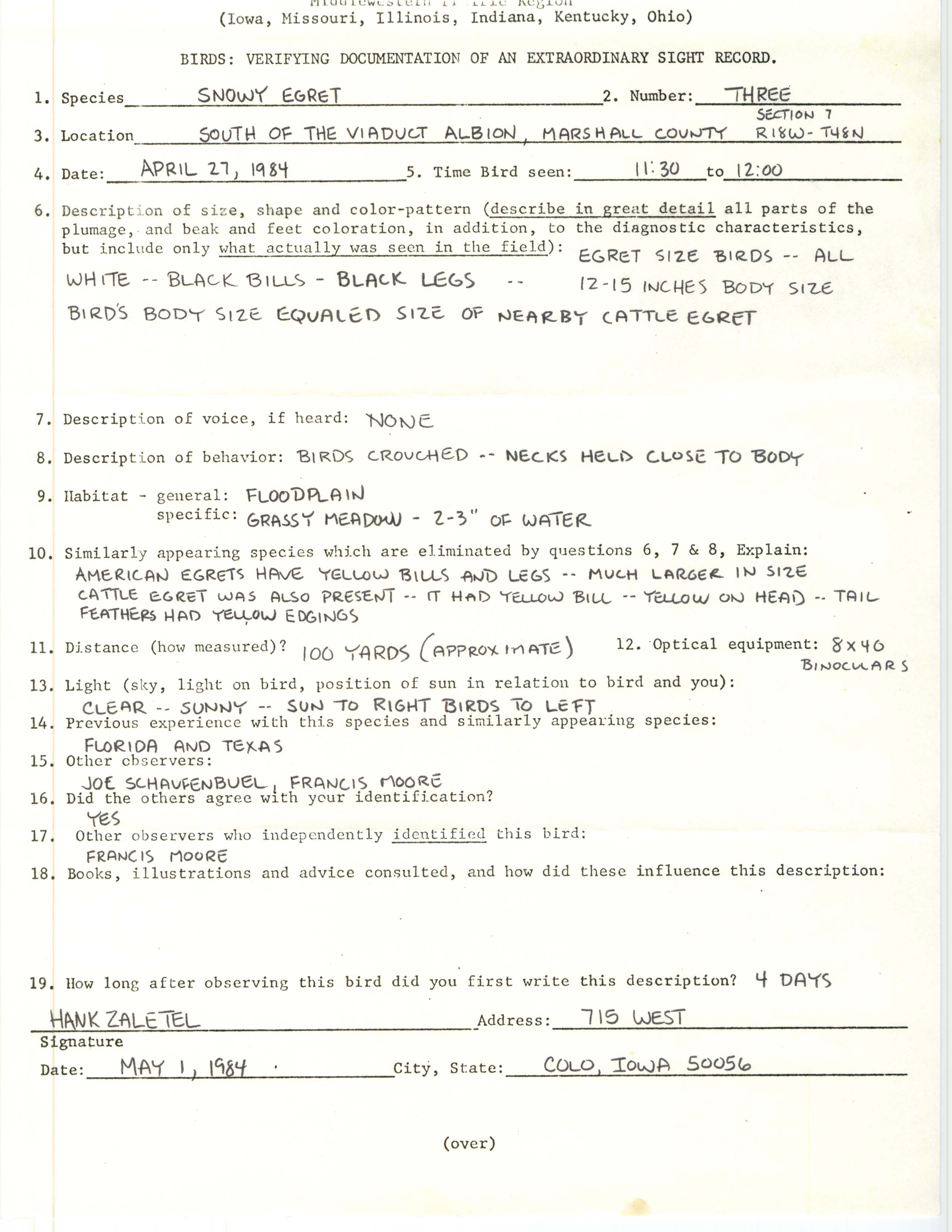 Rare bird documentation form for Snowy Egret at Albion, 1984