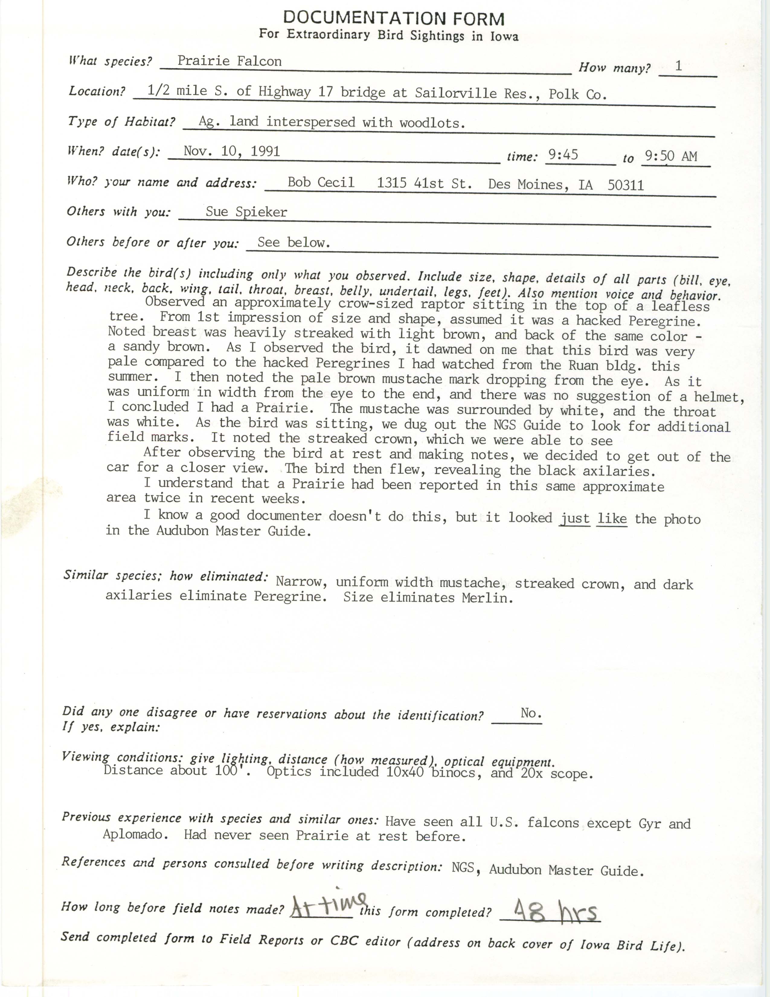 Rare bird documentation form for Prairie Falcon south of Saylorville Reservoir, 1991