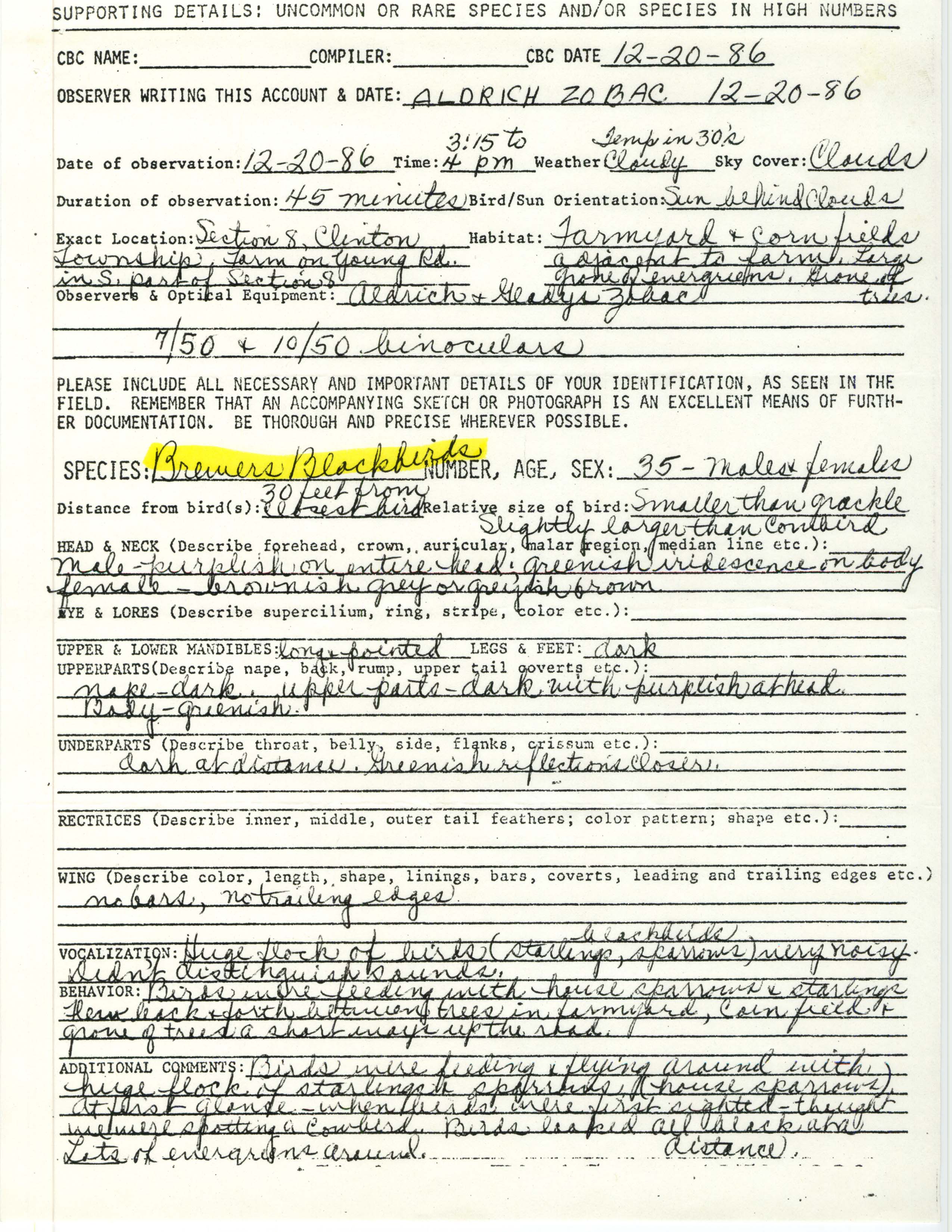 Rare bird documentation form for Brewer's Blackbird at Clinton Township in Linn County, 1986