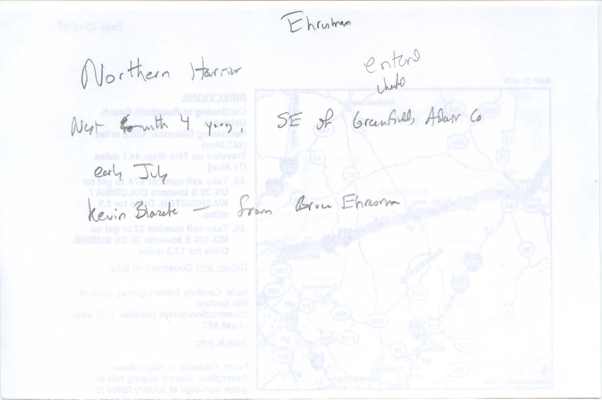 Field note about a Northern Harrier sighting contributed by Bruce Ehresman and Kevin Blazek, summer 2005