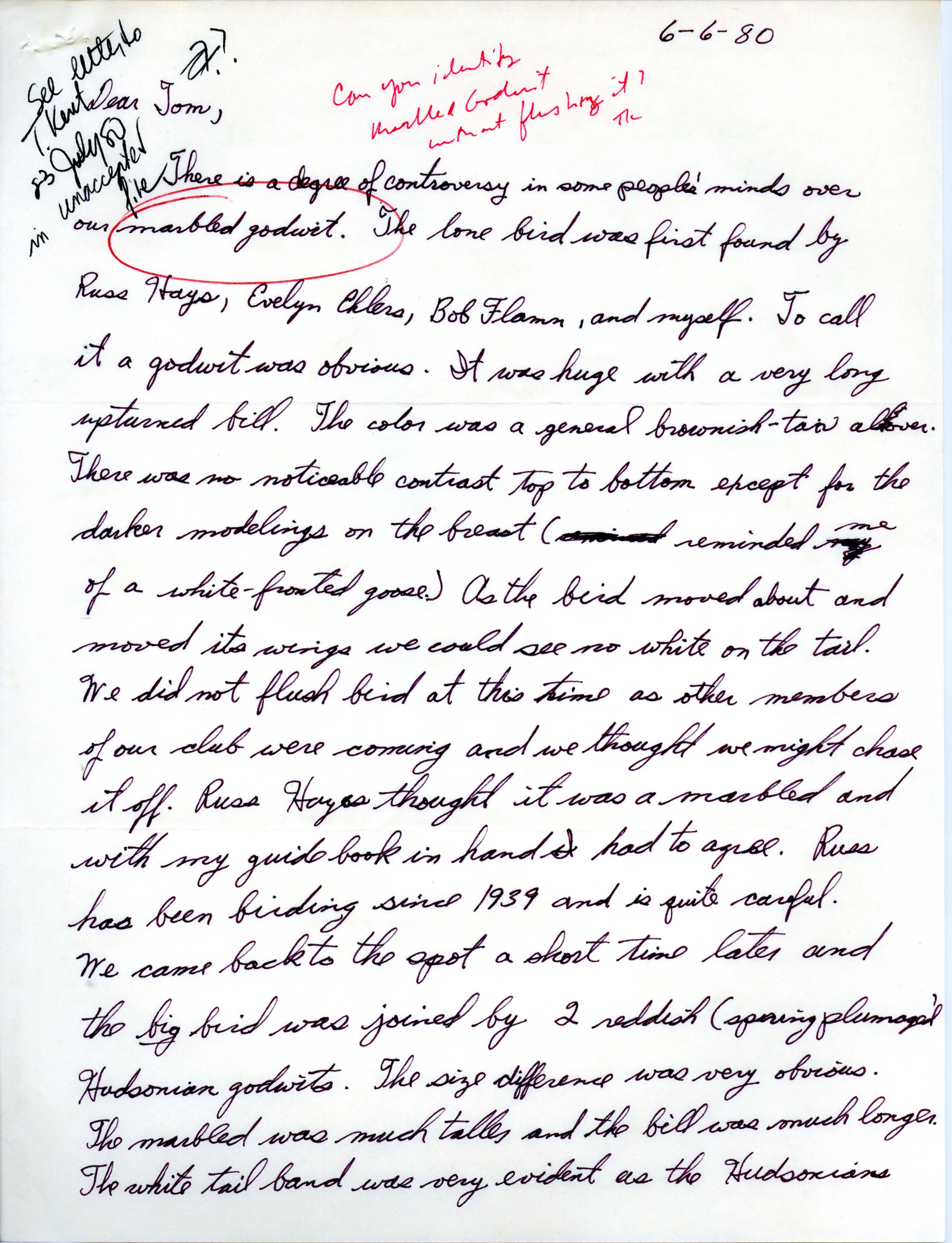Robert K. Myers letter to Thomas H. Kent about bird sightings including Marbled Goldwit, June 6, 1980