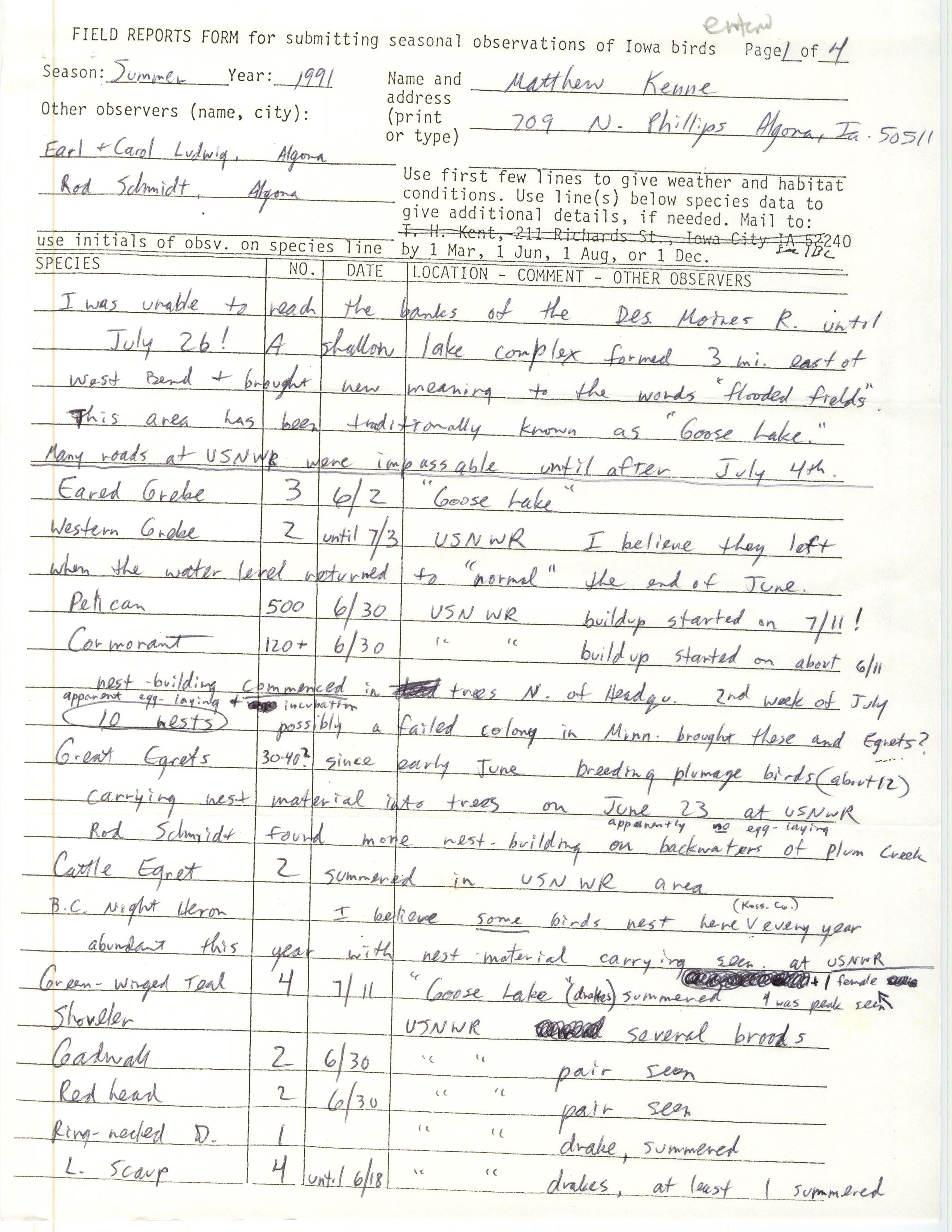 Field reports form for submitting seasonal observations of Iowa birds, Matthew Kenne, summer 1991