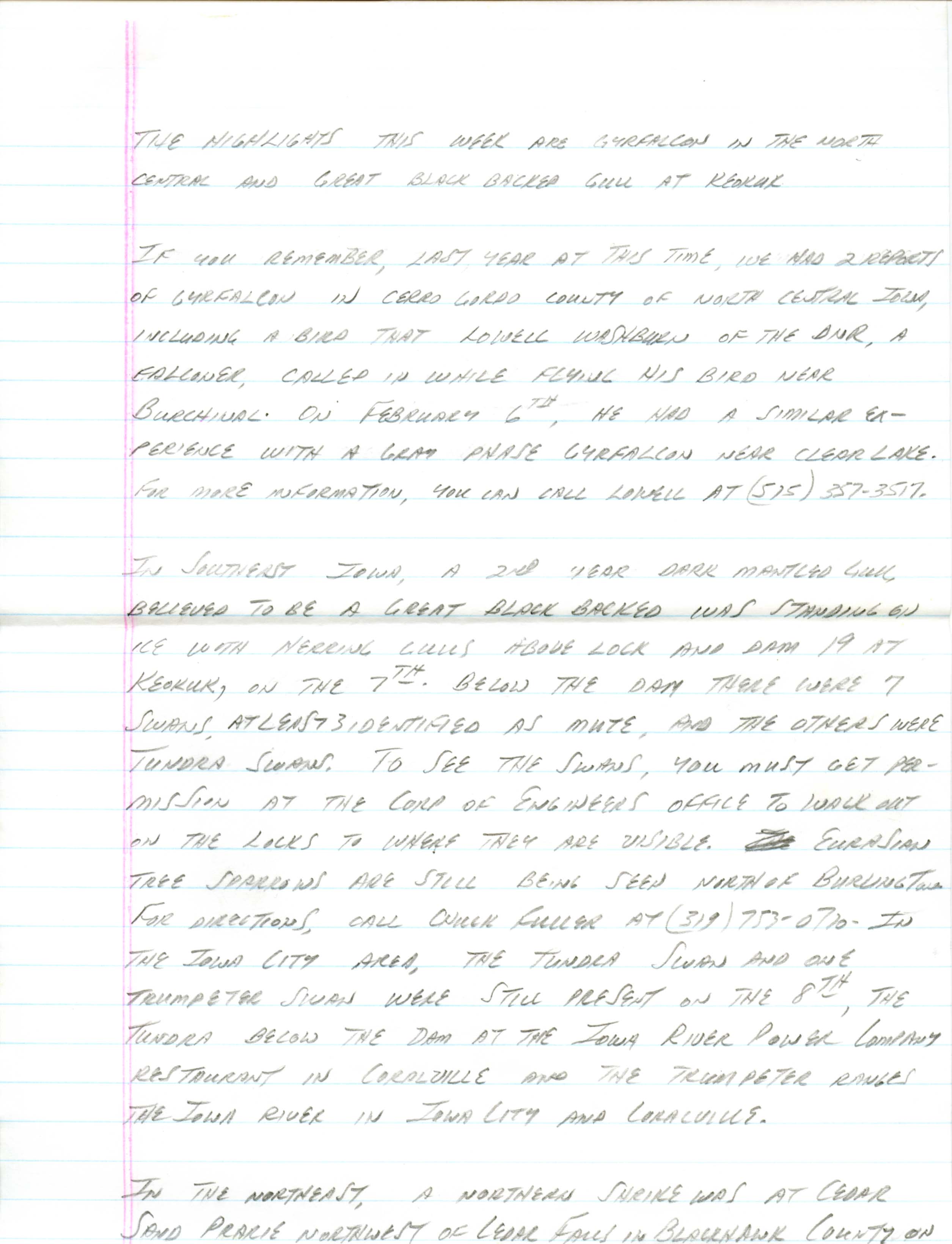 Iowa Birdline update, February 11, 1991 notes