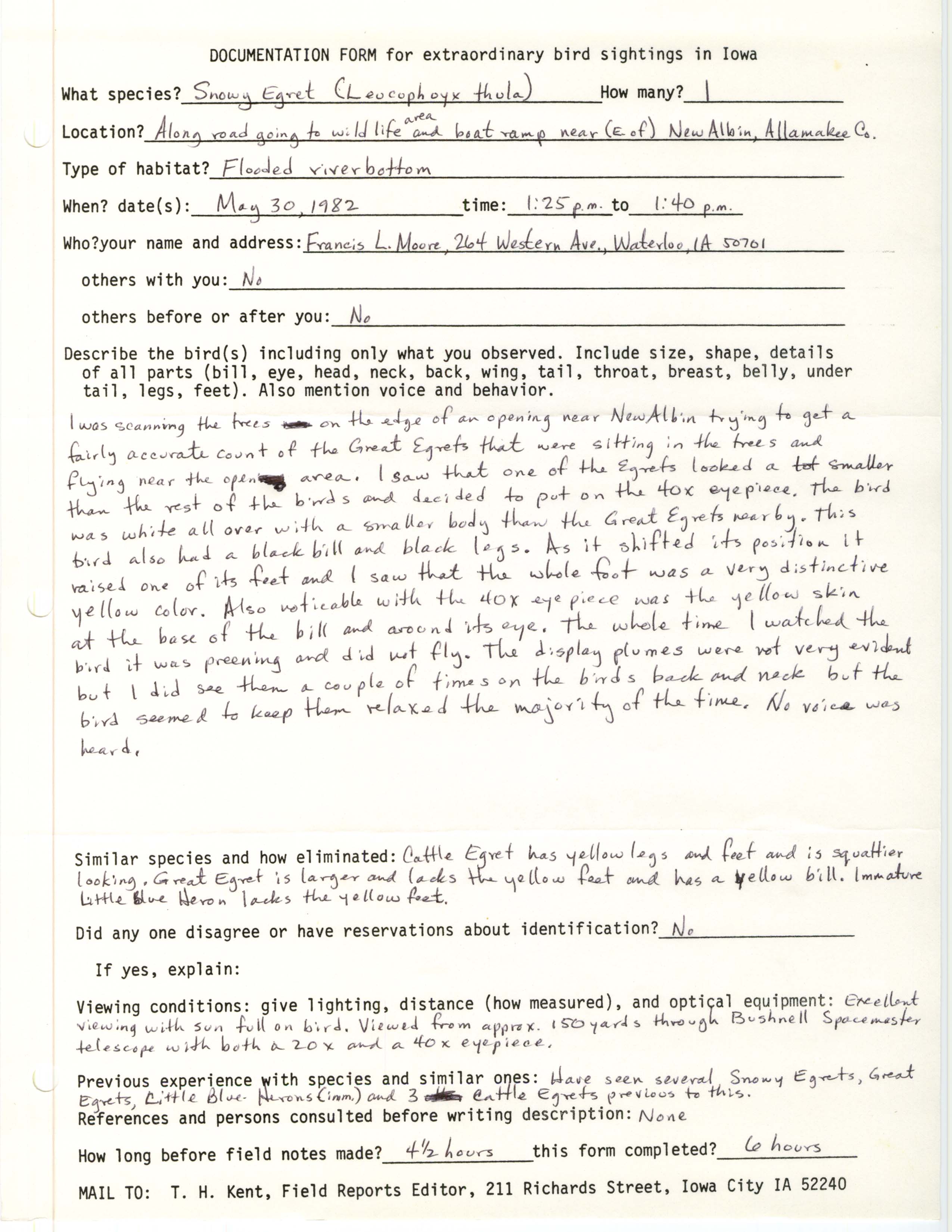 Rare bird documentation form for Snowy Egret at New Albin, 1982